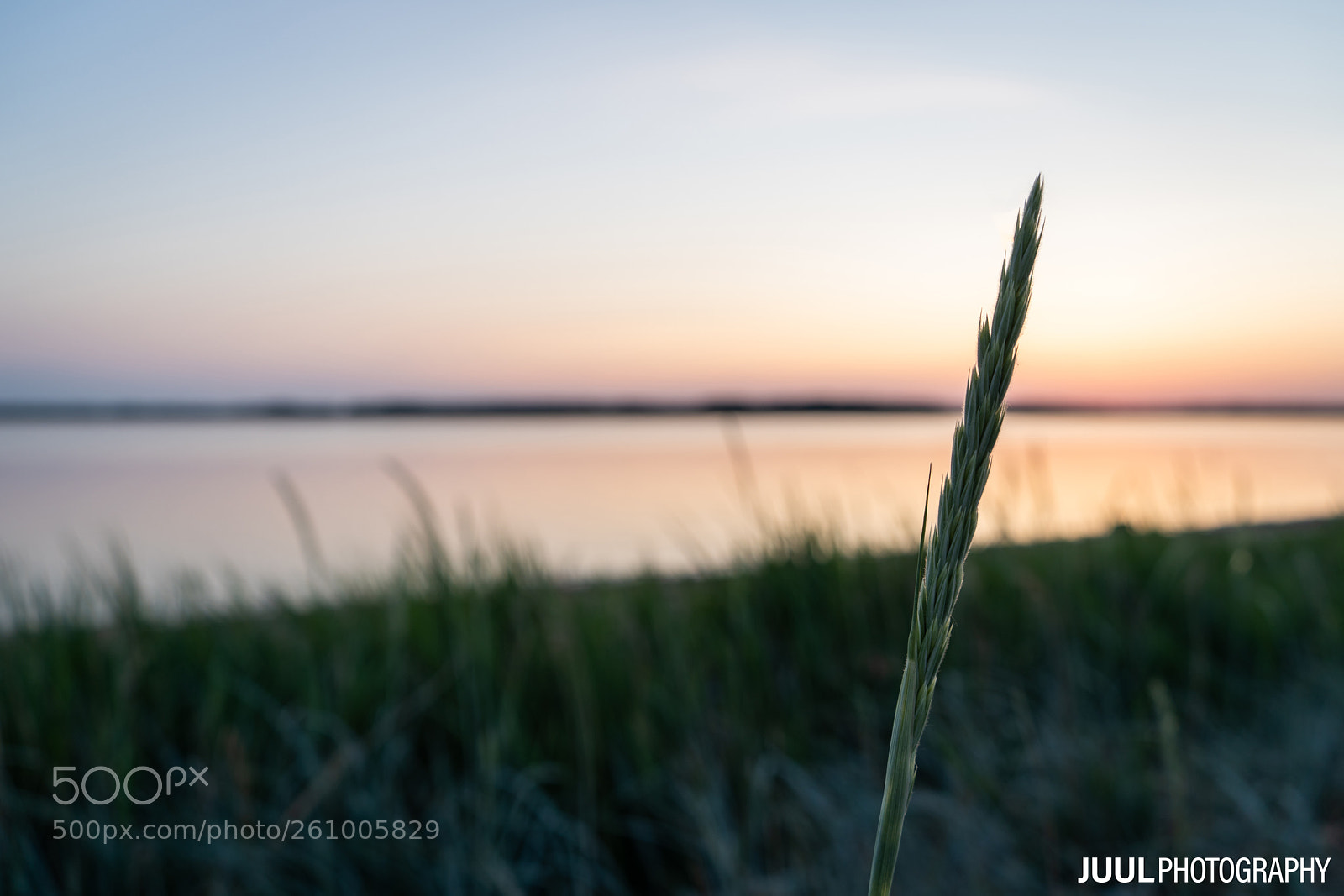 Sony a7 III sample photo. Highlights in the sunset photography