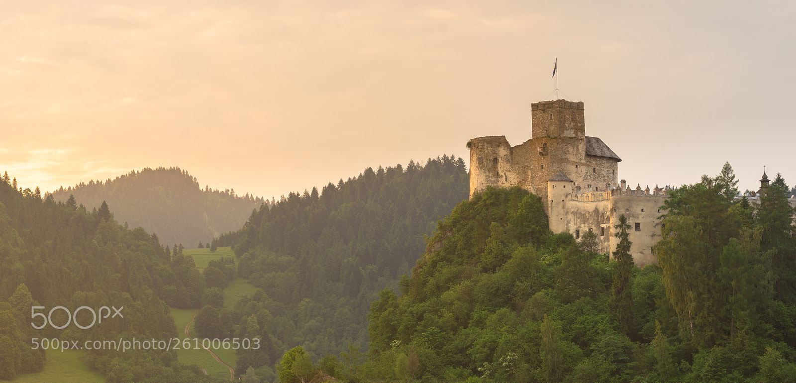 Nikon D610 sample photo. Niedzica castle photography