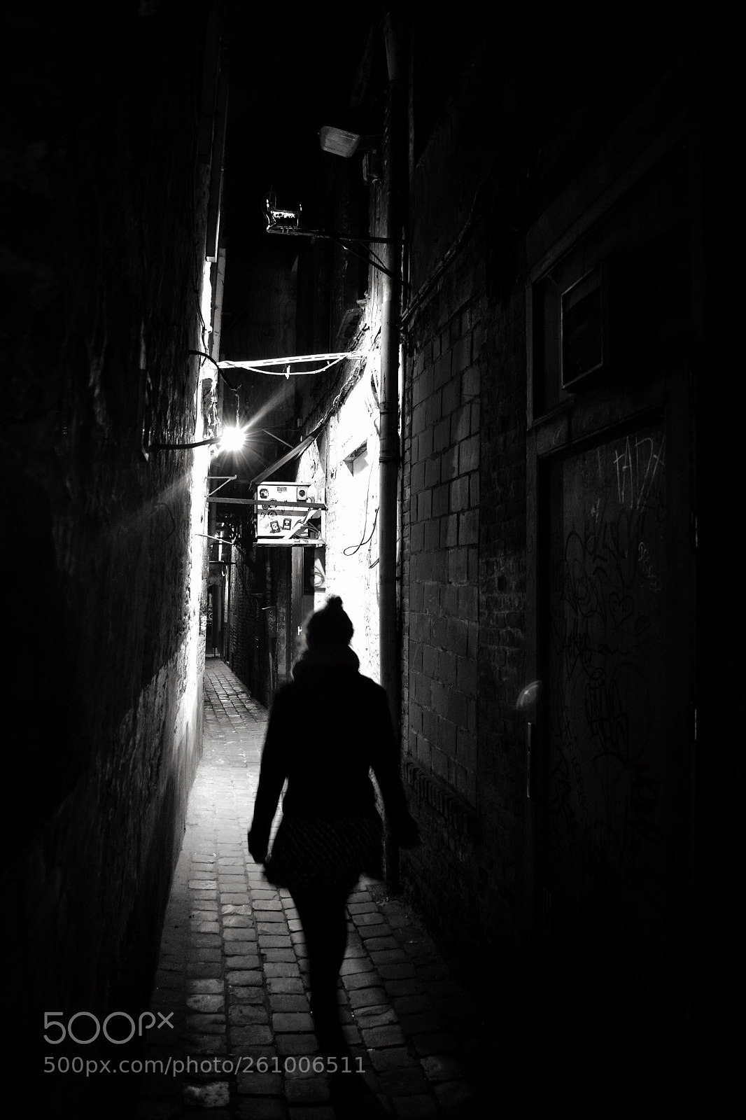 Nikon D3100 sample photo. Fading into the night photography