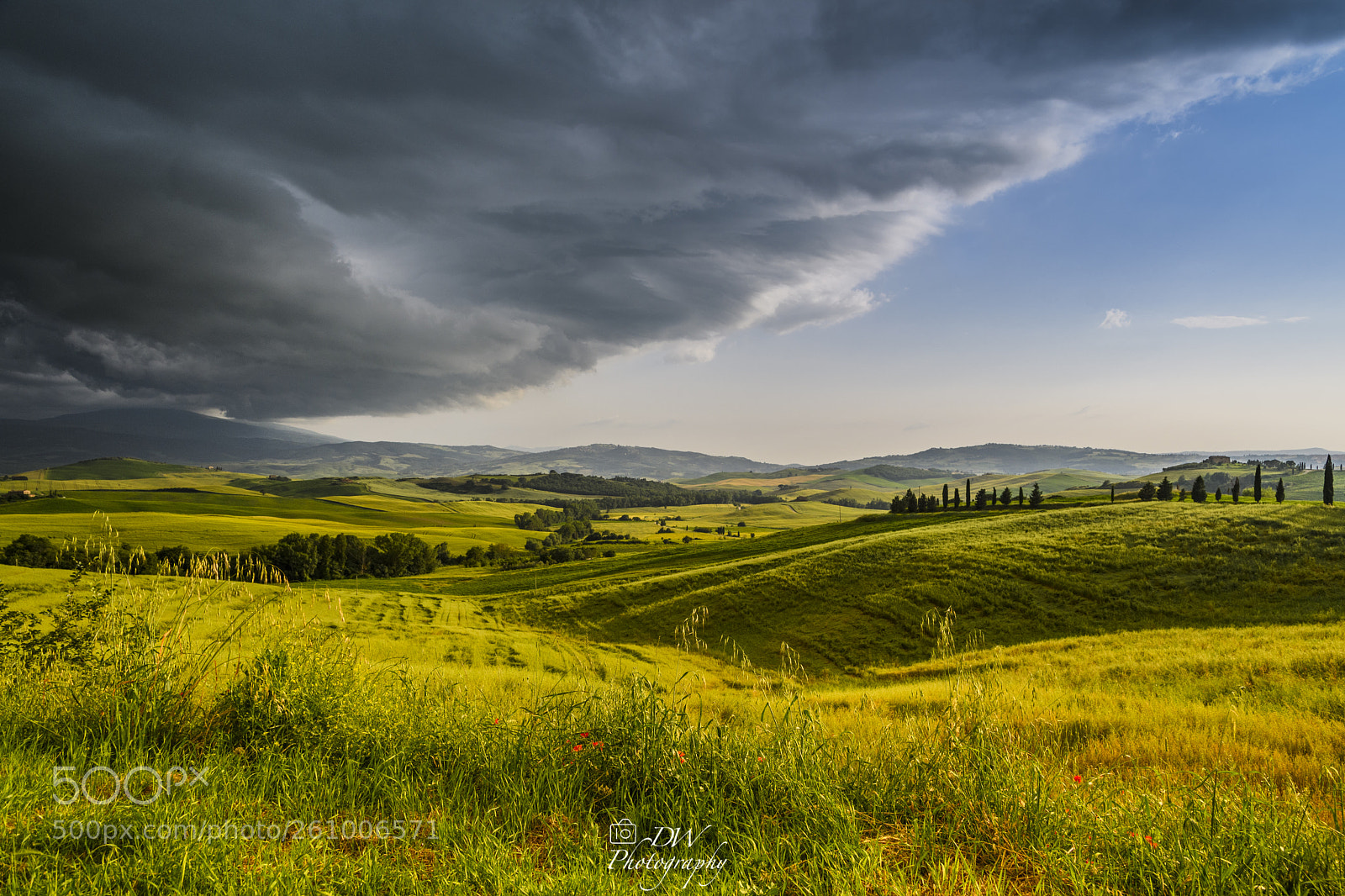 Nikon D500 sample photo. A storm is coming photography