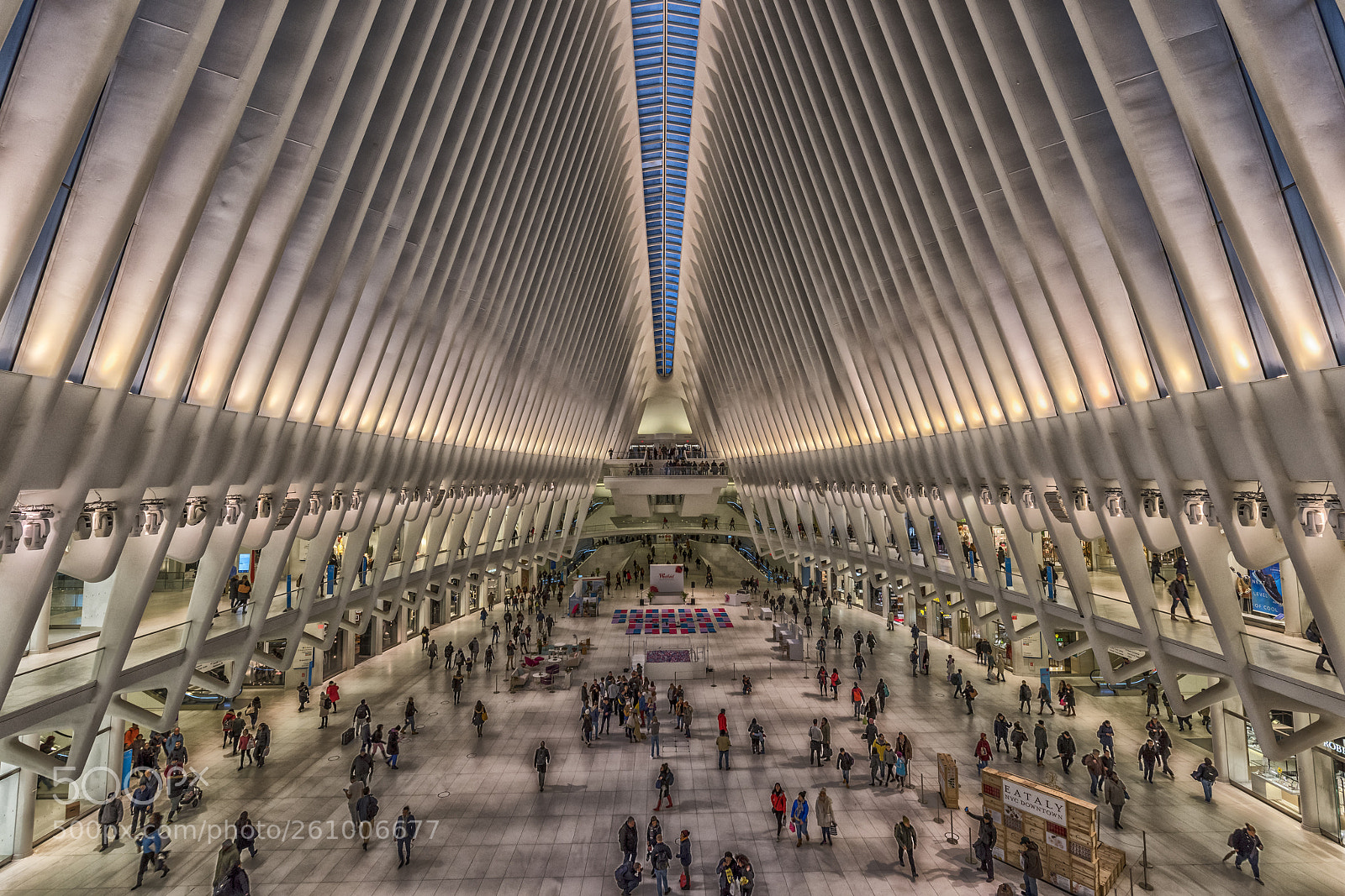 Nikon D810 sample photo. Us nyc inside during photography