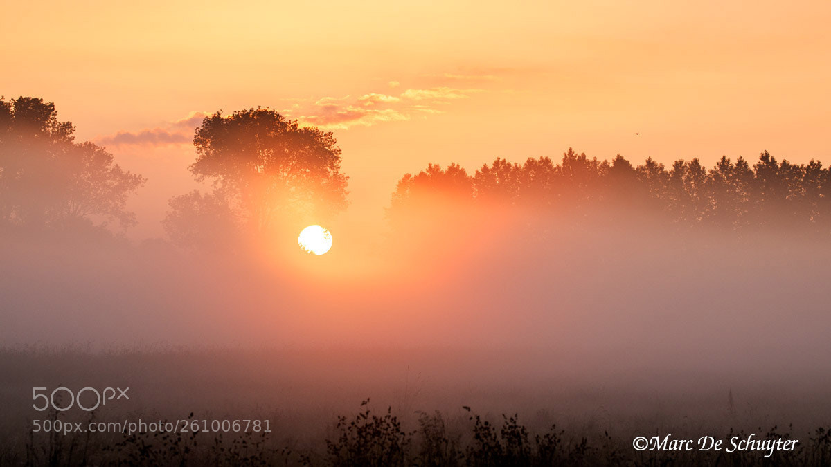 Canon EOS 5D Mark IV sample photo. Here comes the sun photography