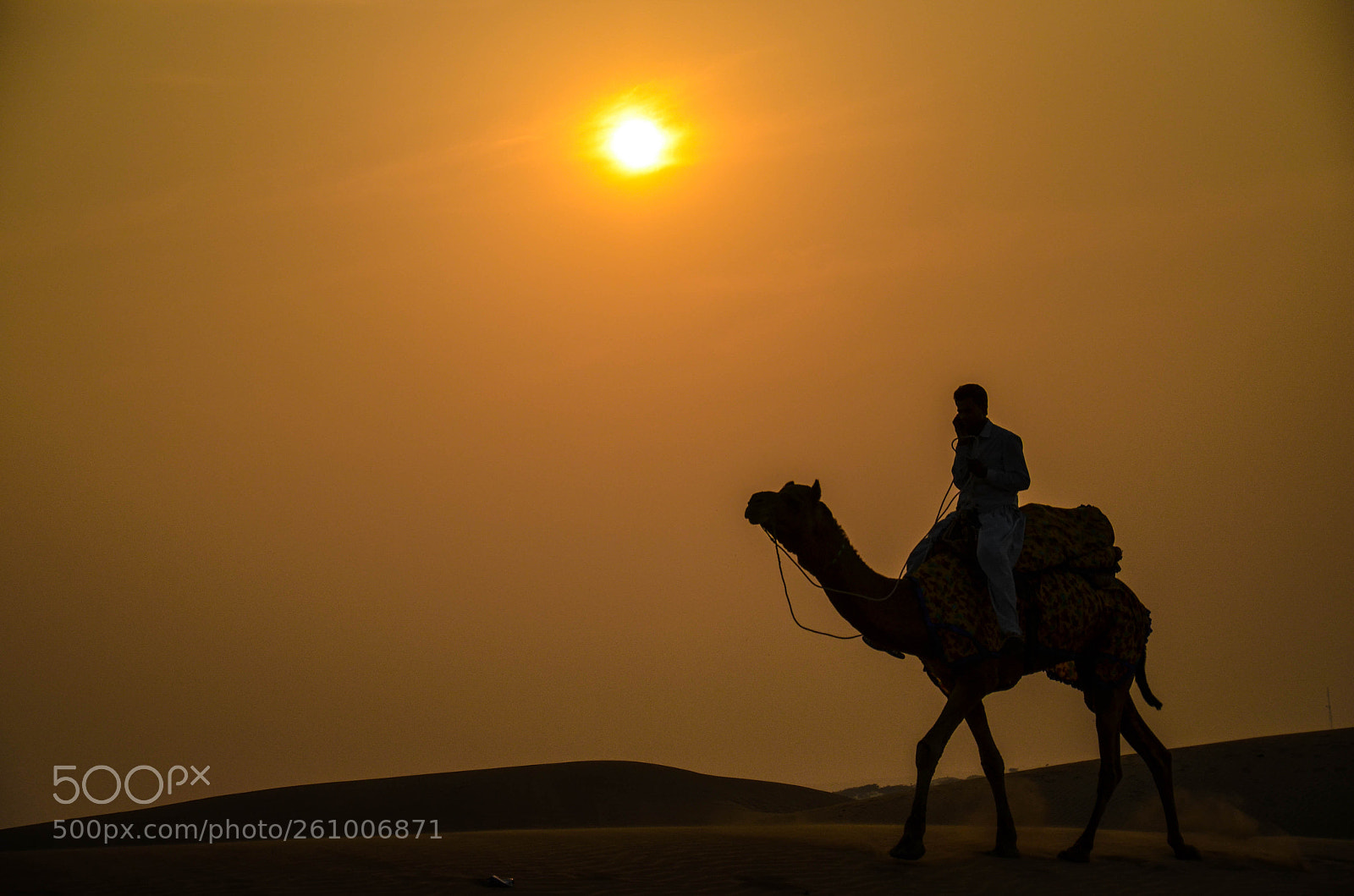 Nikon D7000 sample photo. Silhouette of camel ride photography