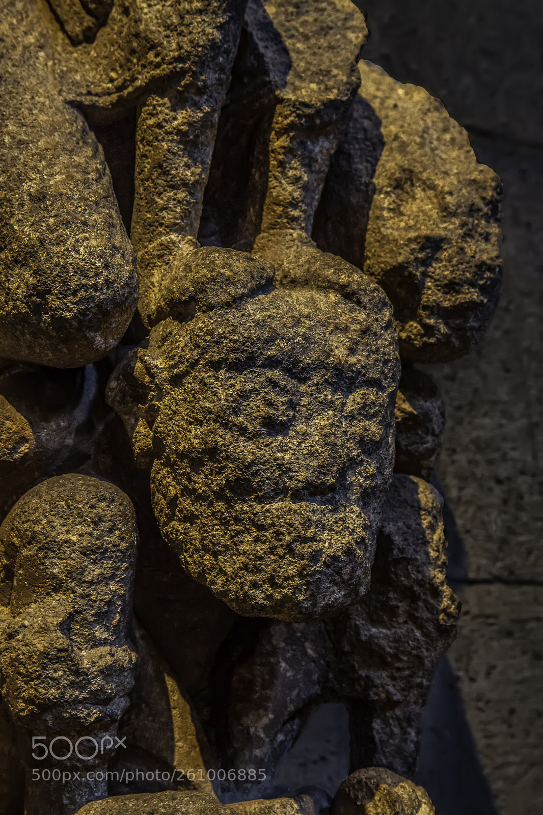 Canon EOS 5D Mark II sample photo. Weathered featured creature photography