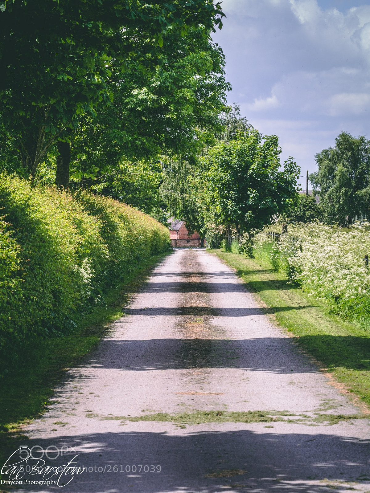 Olympus OM-D E-M10 II sample photo. Farm road photography