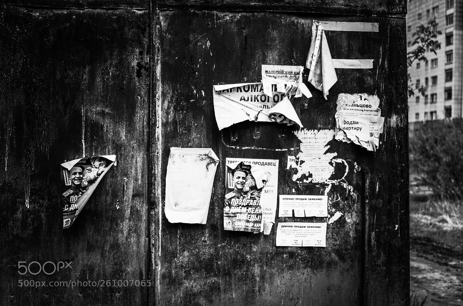 Canon EOS 77D (EOS 9000D / EOS 770D) sample photo. The wall of contrasts photography