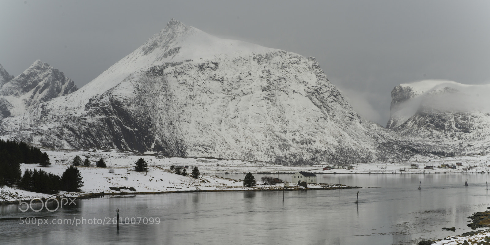 Hasselblad X1D-50c sample photo. Sea with snowcapped mountain photography