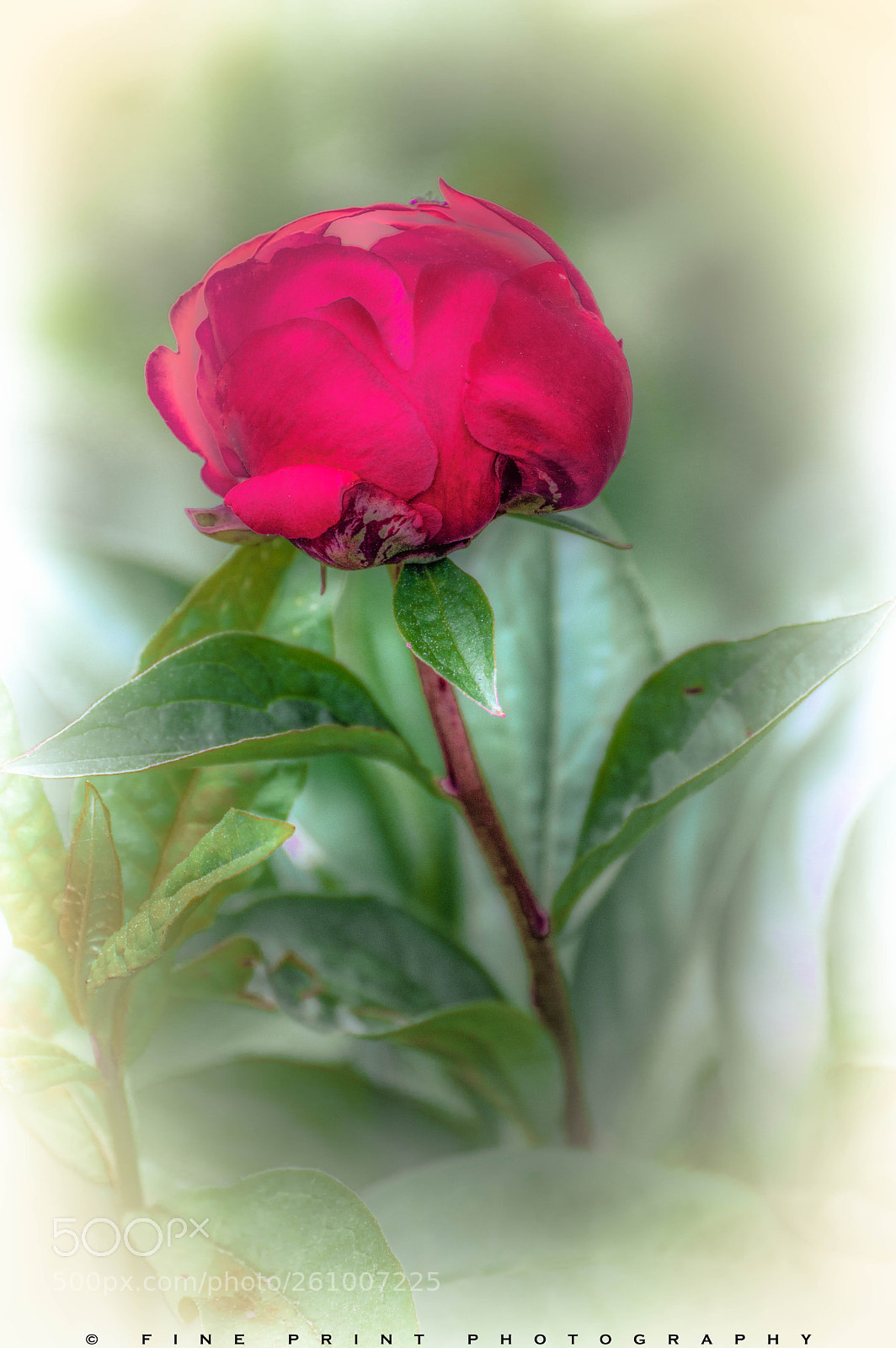 Nikon D3200 sample photo. "almost there" (2018) photography