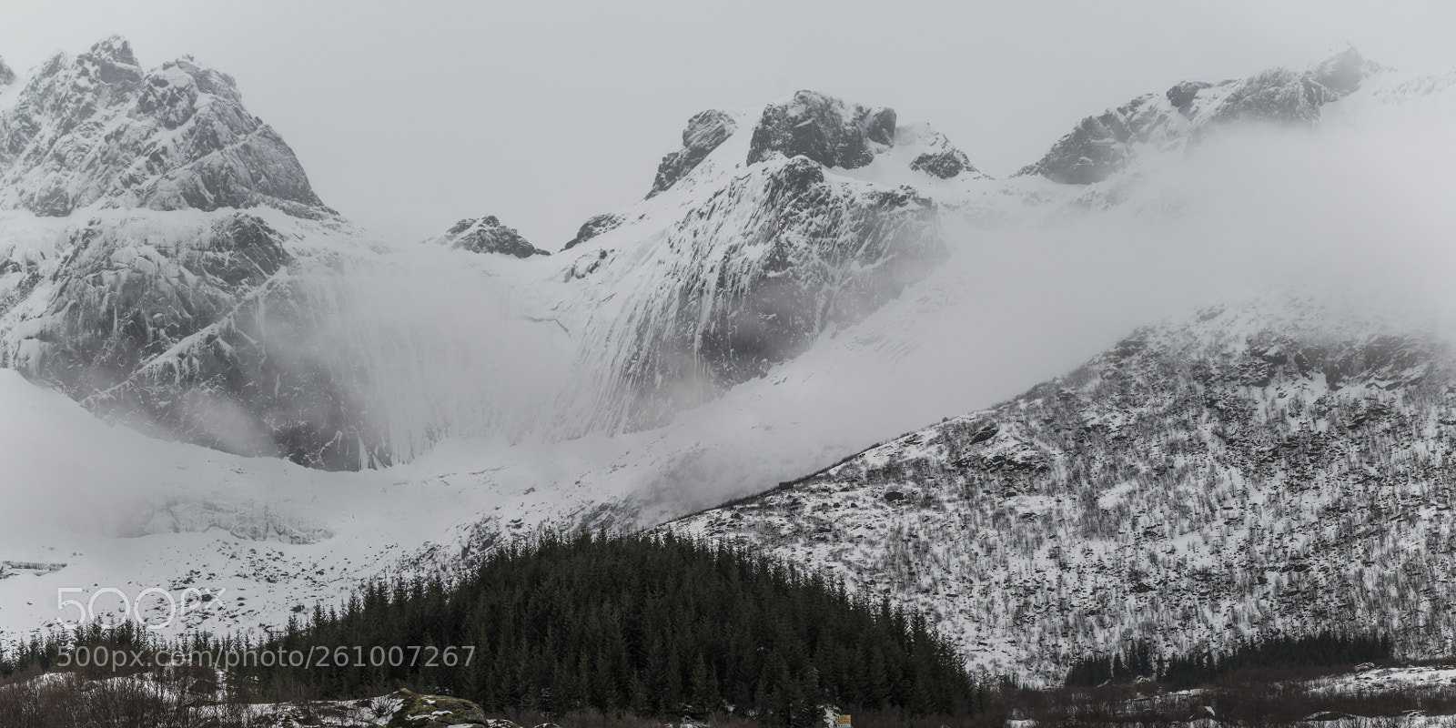 Hasselblad X1D-50c sample photo. Fog over snow covered photography