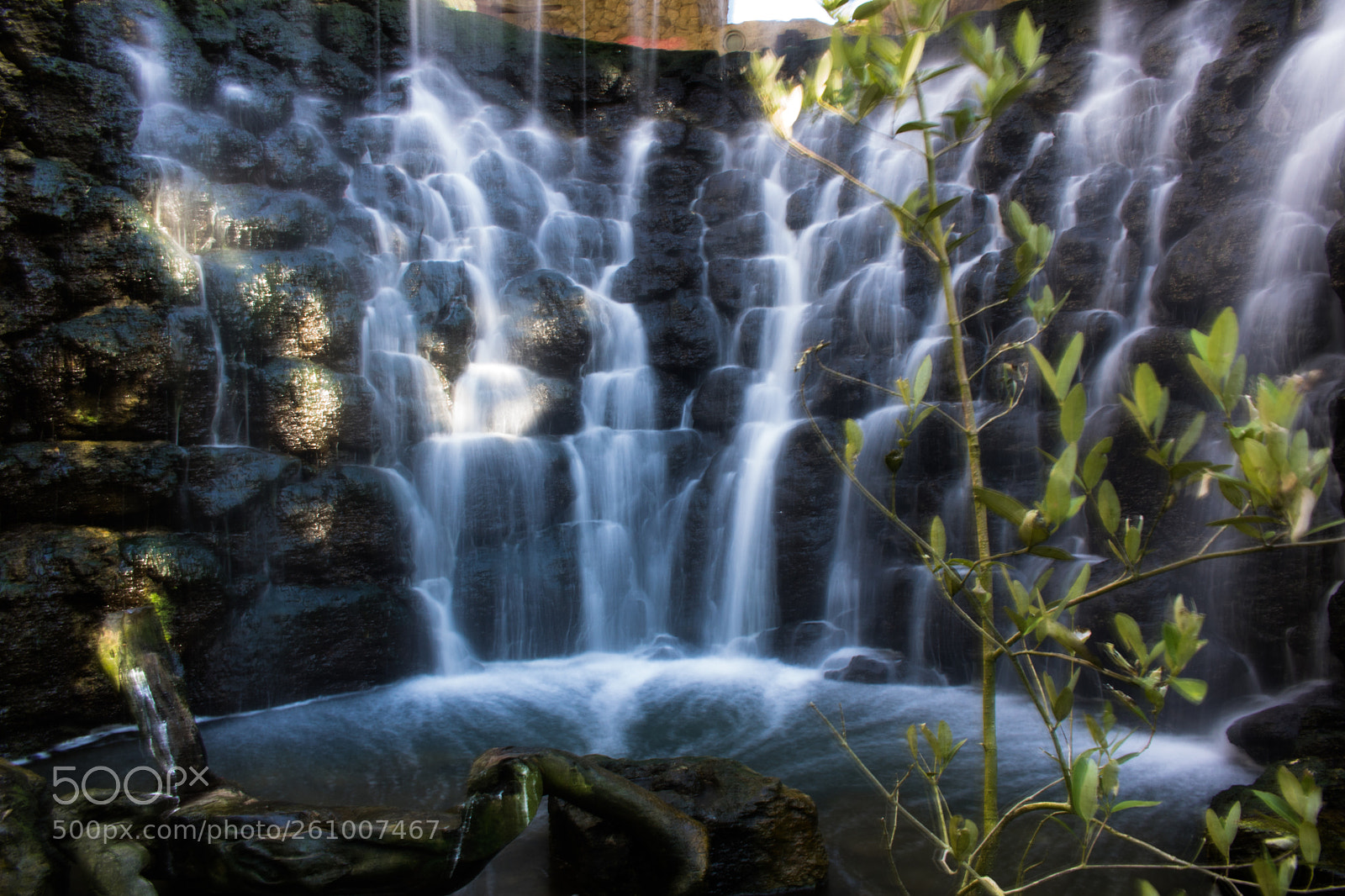 Canon EOS 750D (EOS Rebel T6i / EOS Kiss X8i) sample photo. Milkfall photography