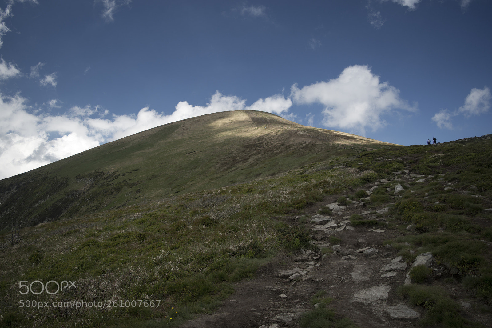 Nikon D7200 sample photo. Path to the top photography