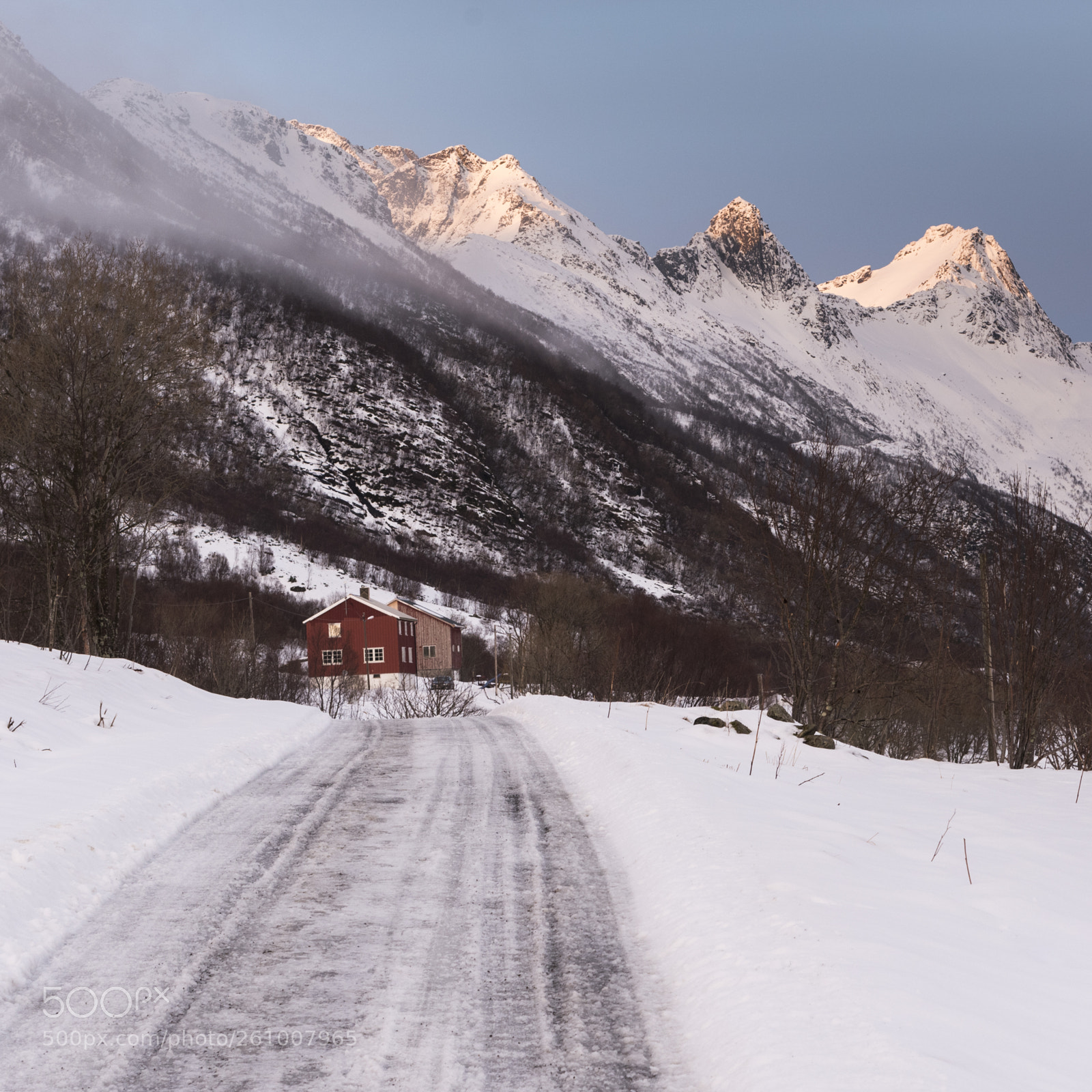 Nikon D810 sample photo. Snow covered road passing photography