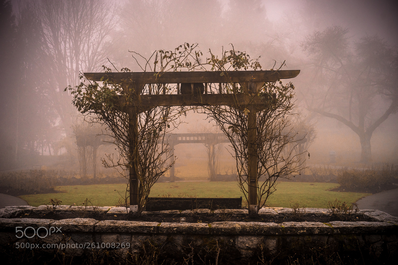 Sony a7 II sample photo. Come to my garden photography