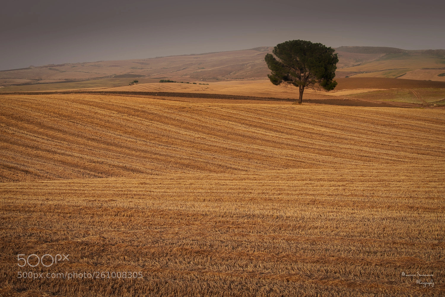 Nikon D750 sample photo. Solitario photography