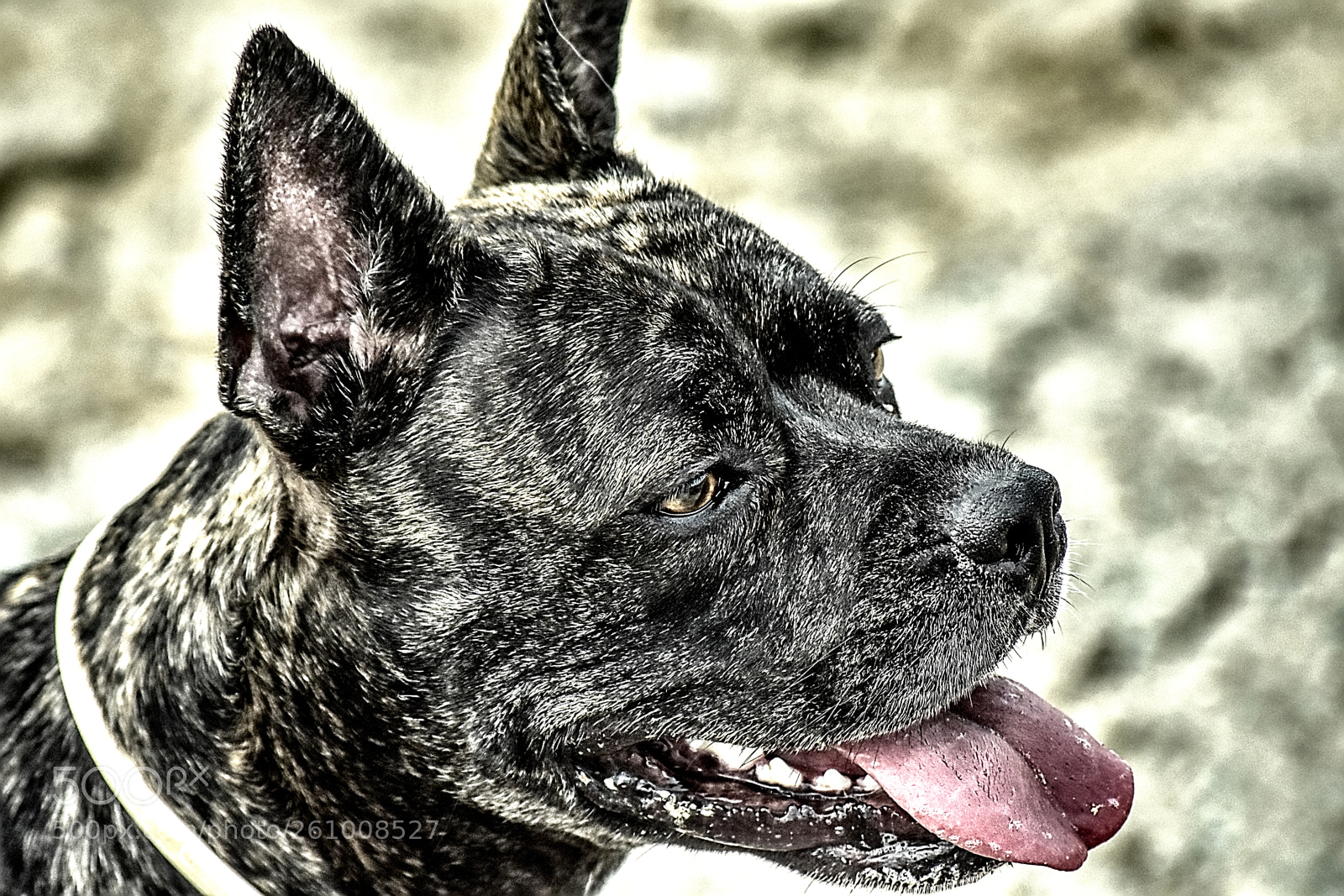 Nikon D7200 sample photo. Dsc photography