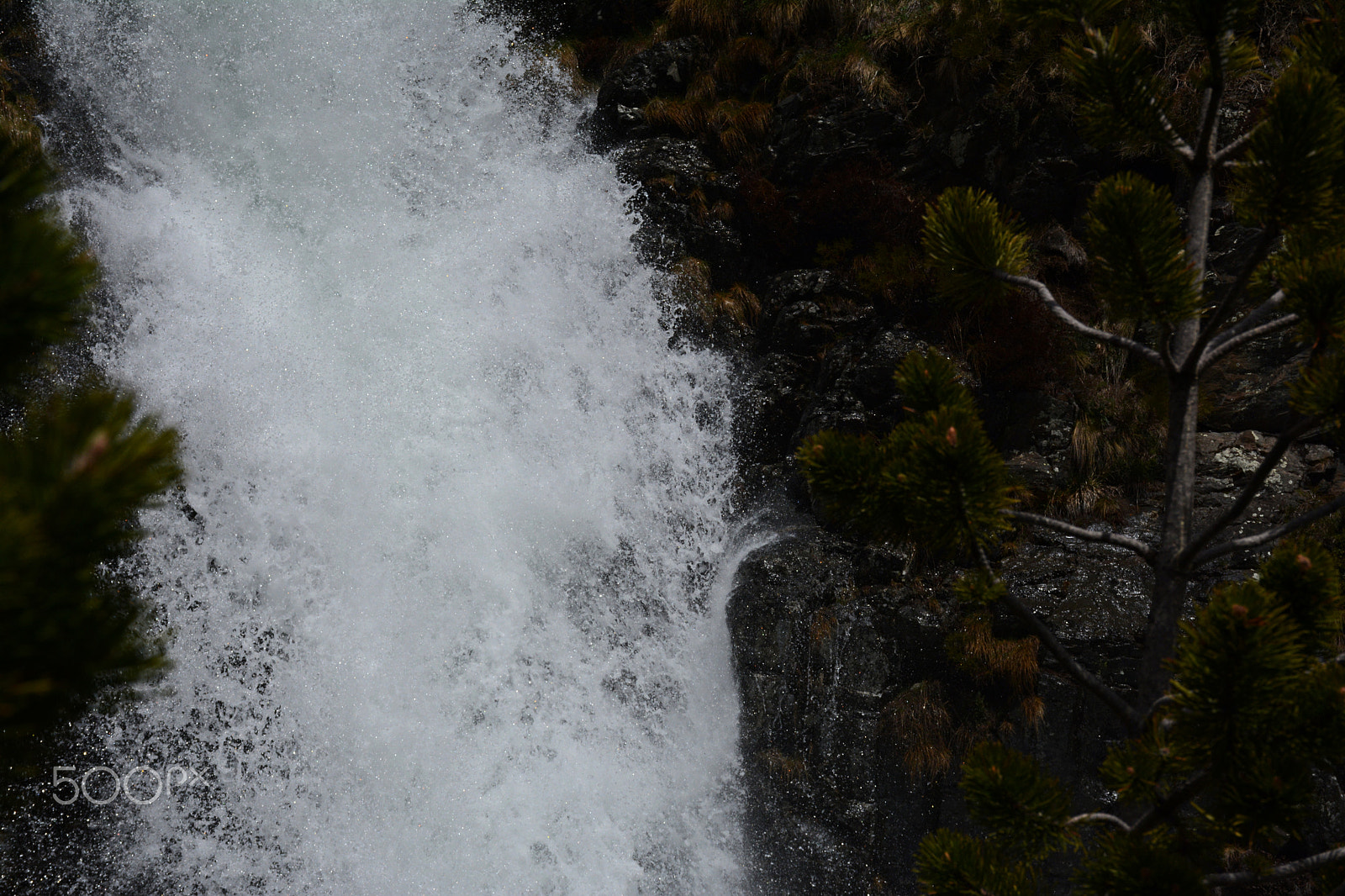 Nikon D7100 sample photo. Snowbreak photography