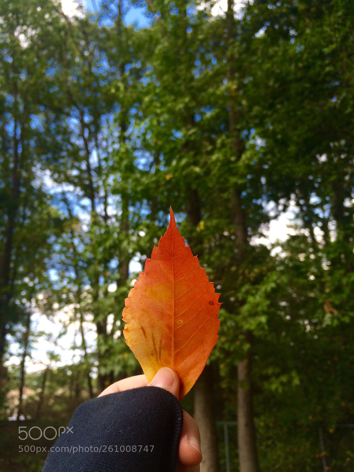 Apple iPhone 5s sample photo. Symmetry  photography