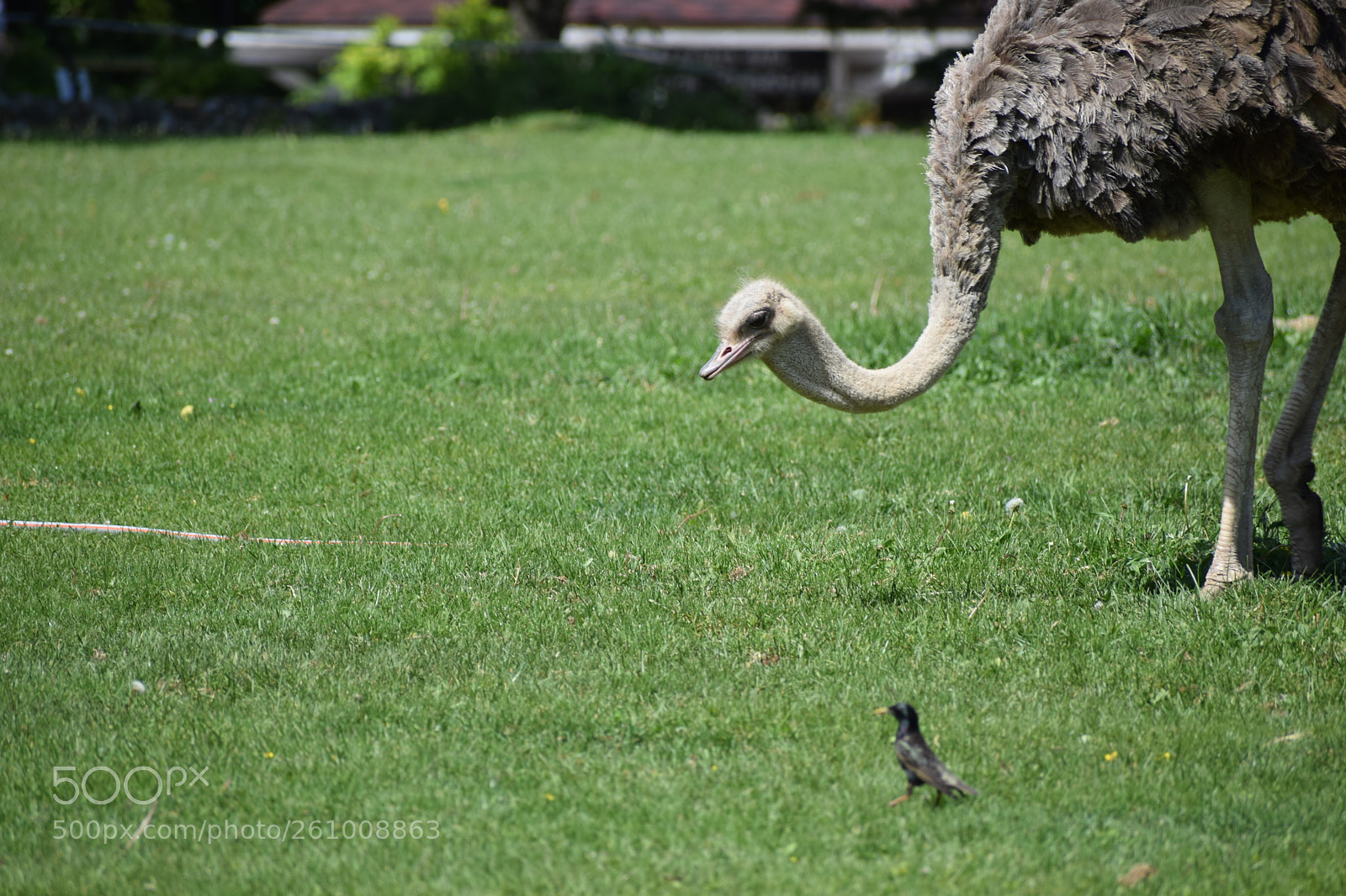 Nikon D5300 sample photo. The big one and photography