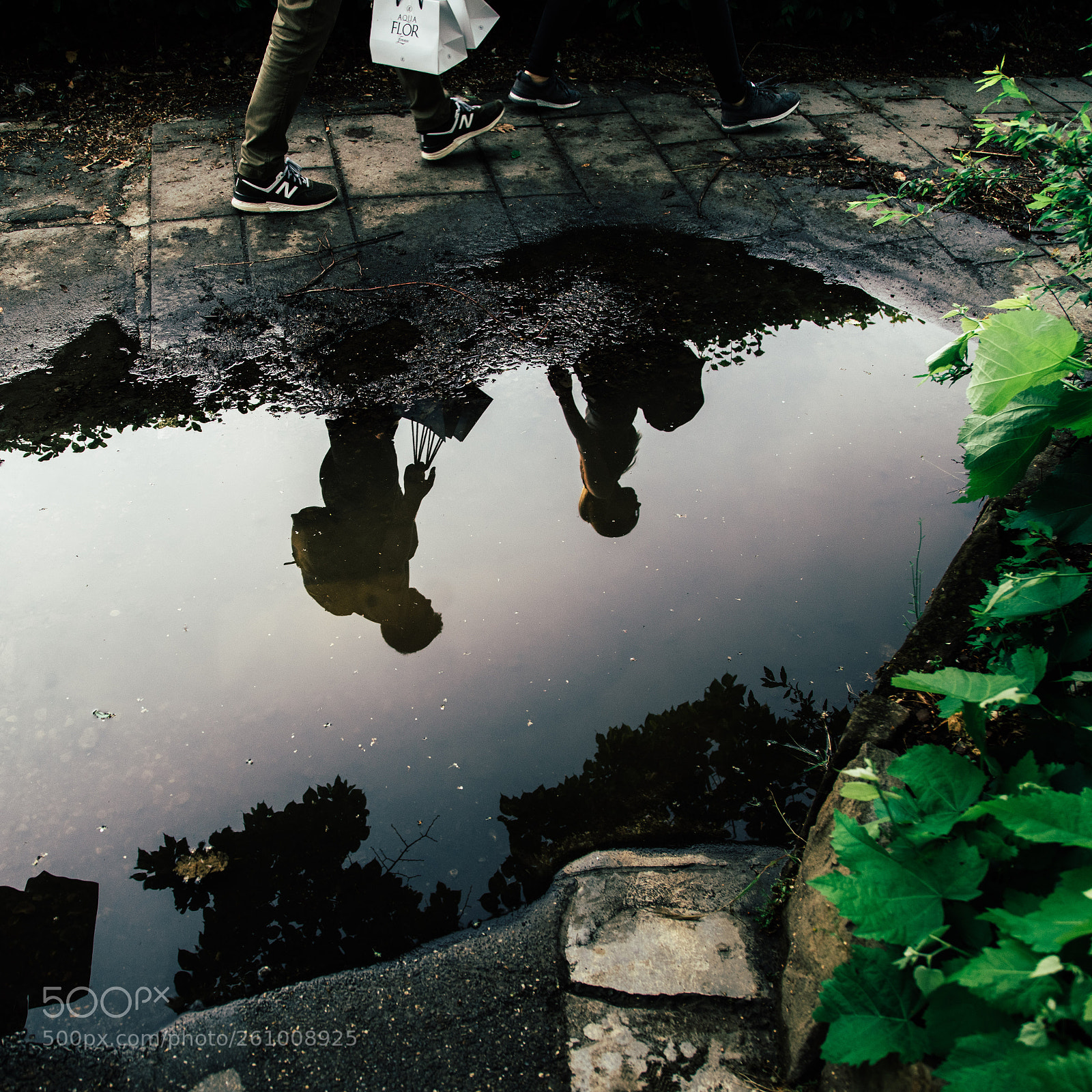 Sony a7R II sample photo. Puddle photography