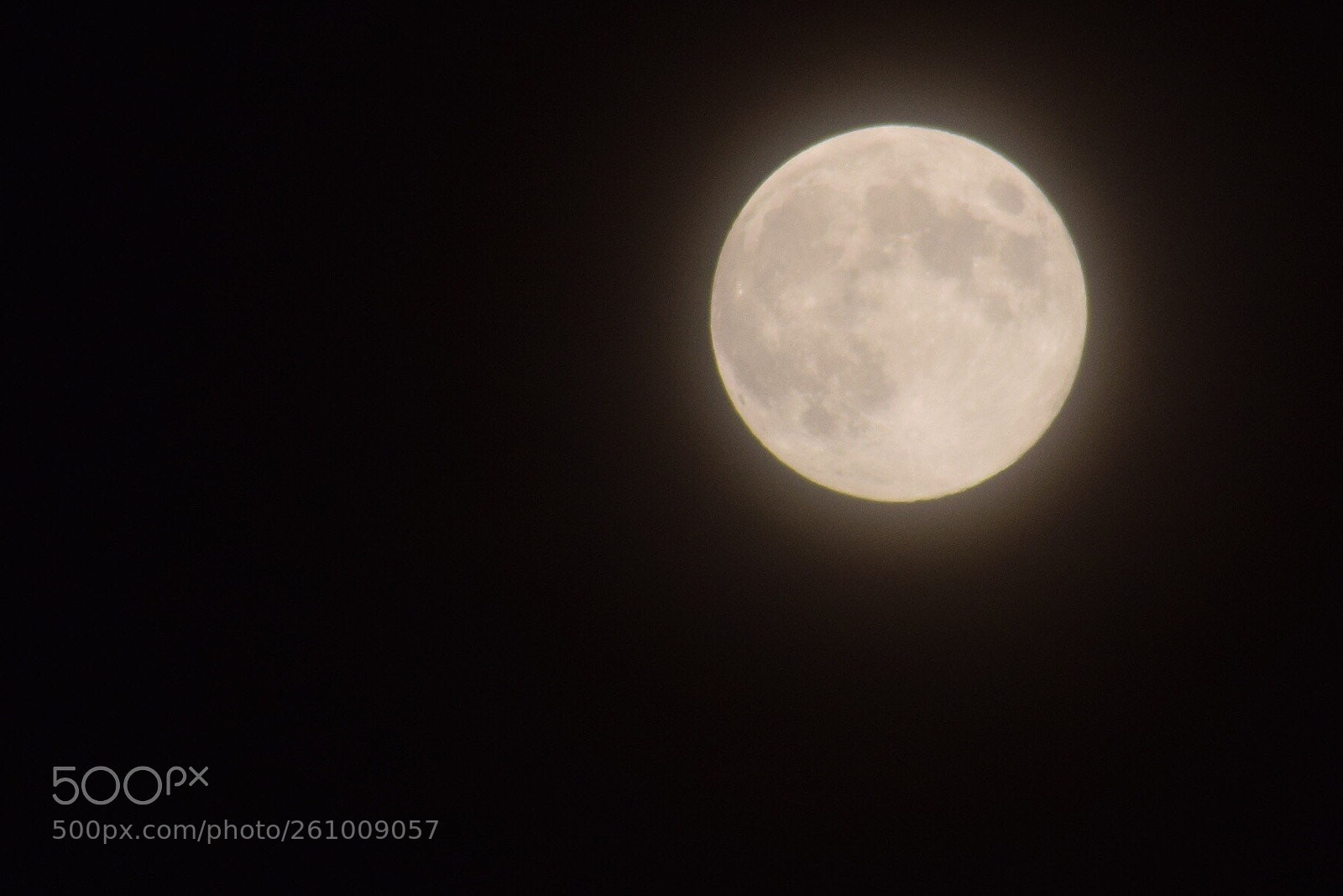 Nikon D5300 sample photo. Untitled photography