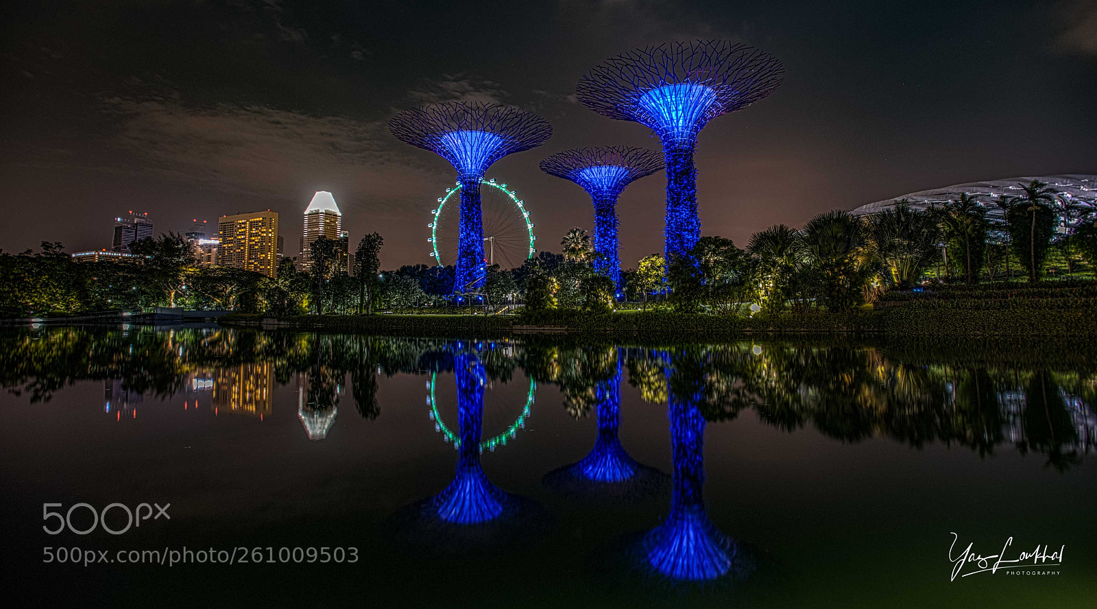 Nikon D810 sample photo. Tree reflection photography
