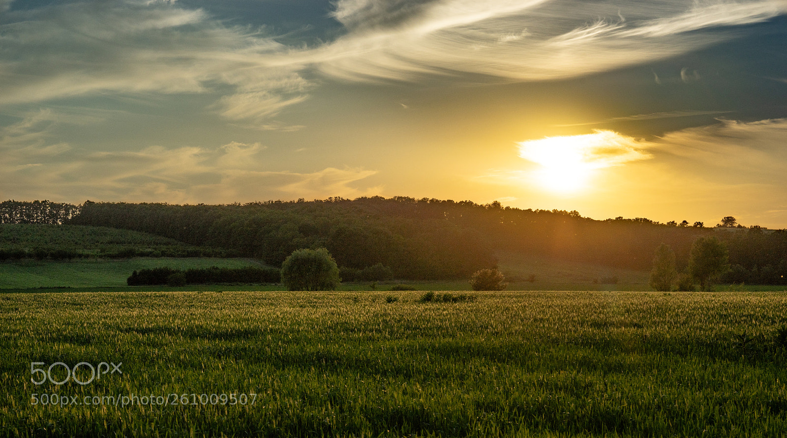 Sony a7 II sample photo. Colorful evening 2 photography