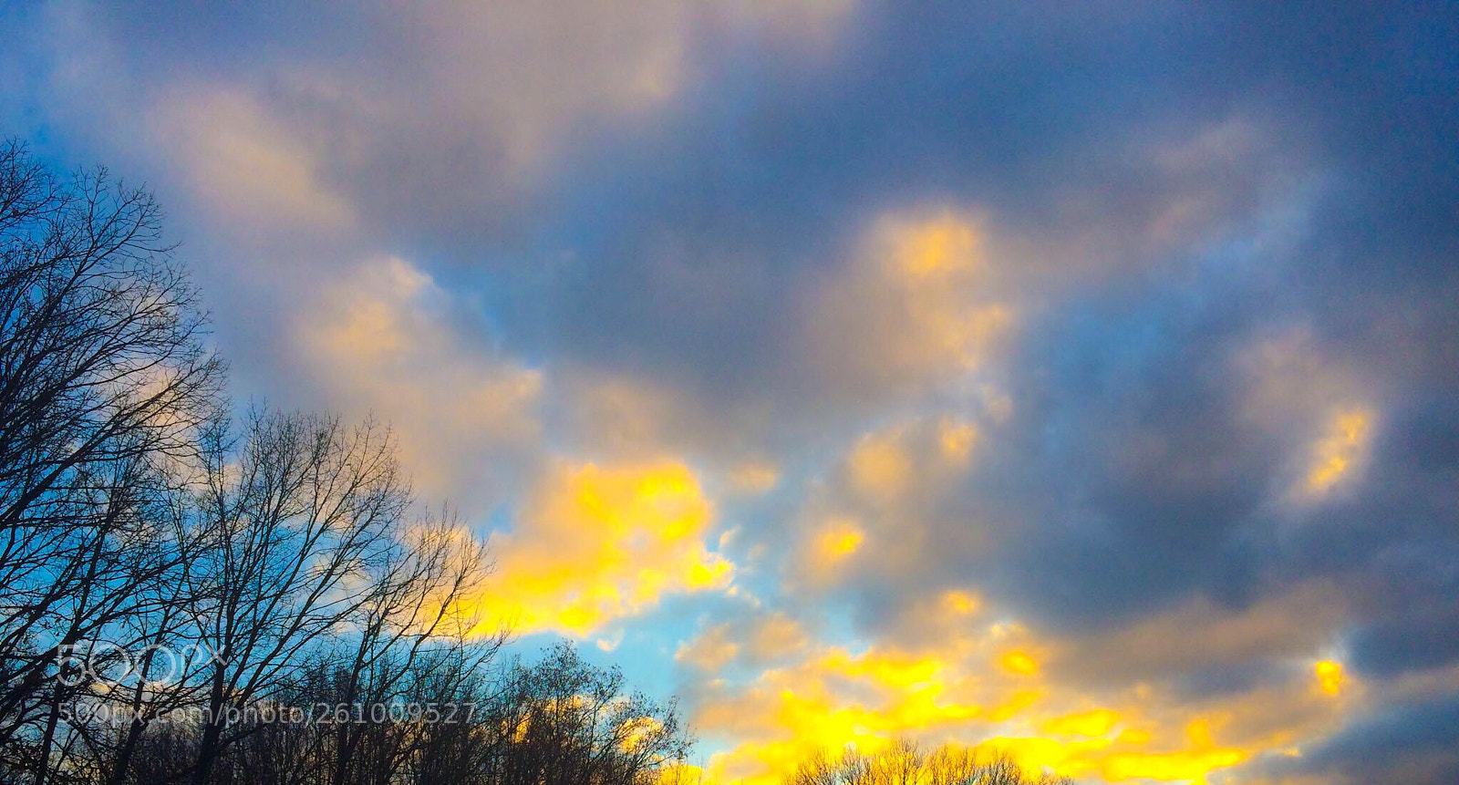 Apple iPhone 5s sample photo. Spotted photography
