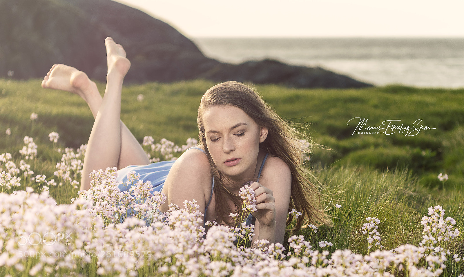 Nikon D850 sample photo. Photo: marius eikeskog photography