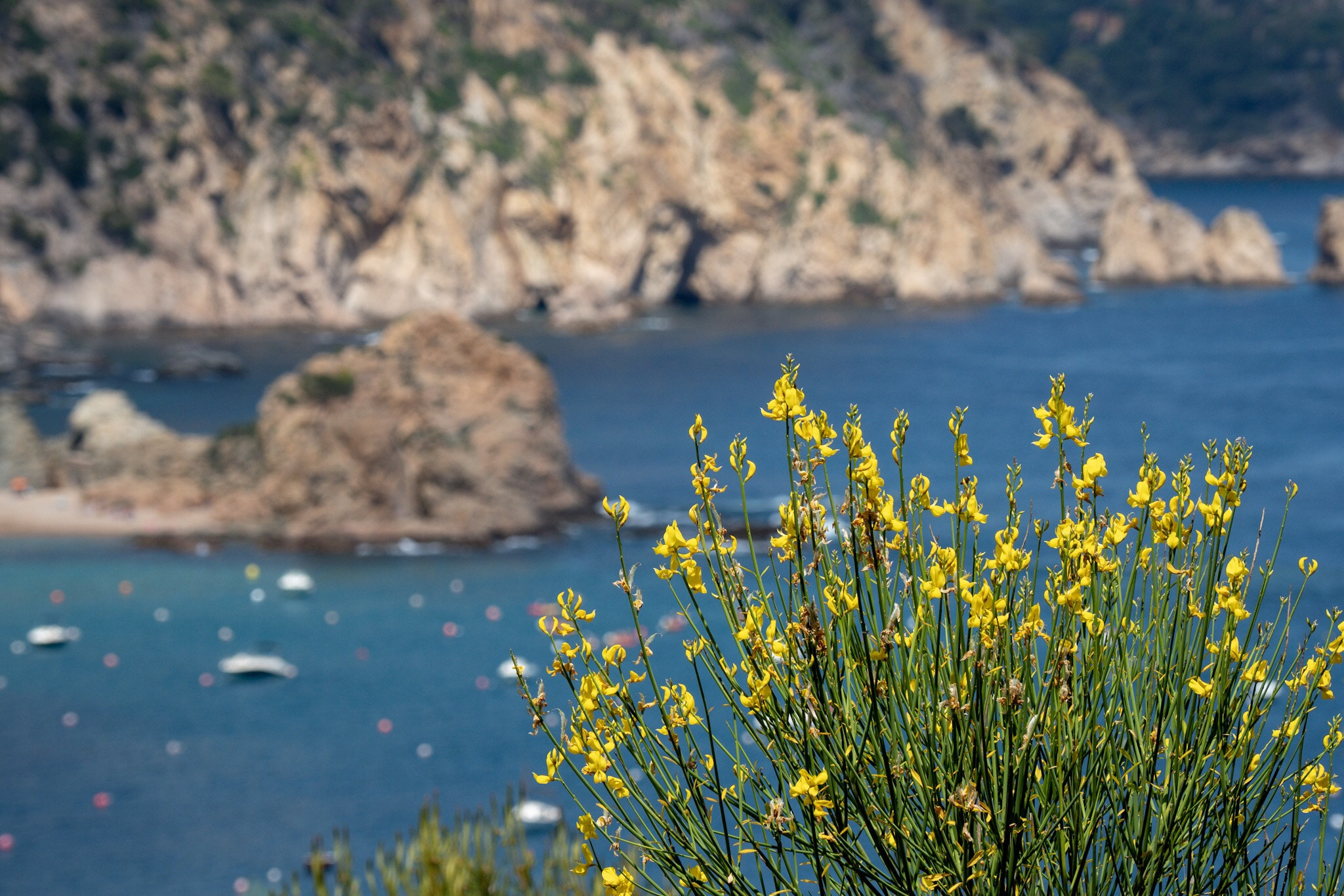Olympus PEN-F sample photo. Greetings from costa brava  photography