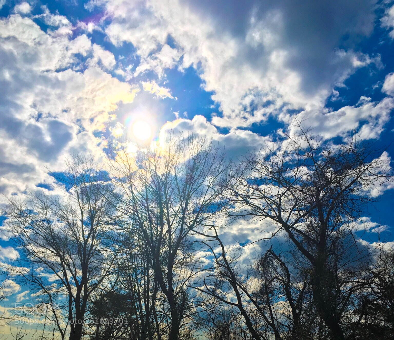 Apple iPhone SE sample photo. Cloudy photography
