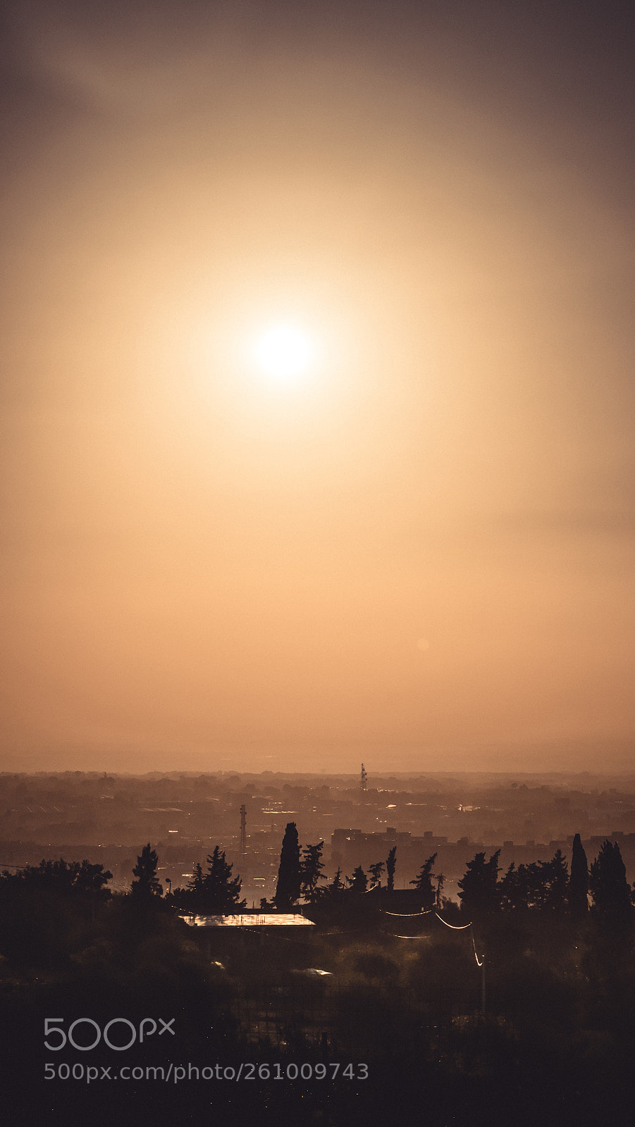 Nikon D5300 sample photo. Golden sunset at blida photography