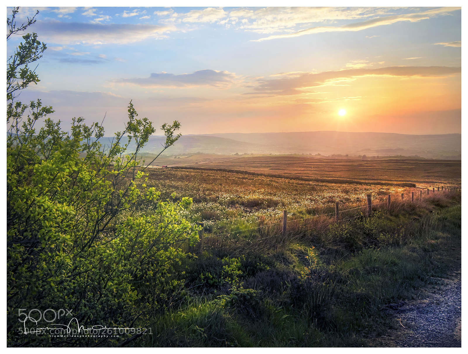 Nikon D7000 sample photo. Pidgeon top sunset photography