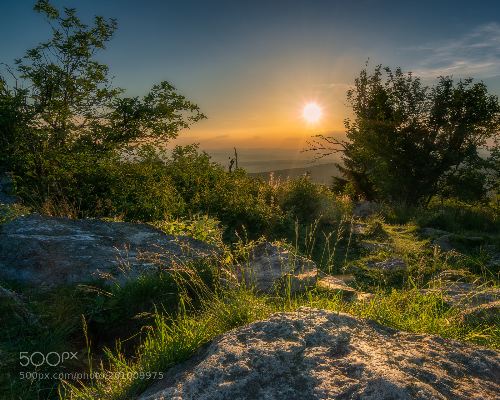 Sony a7R II sample photo. Goldene stunde im taunus photography
