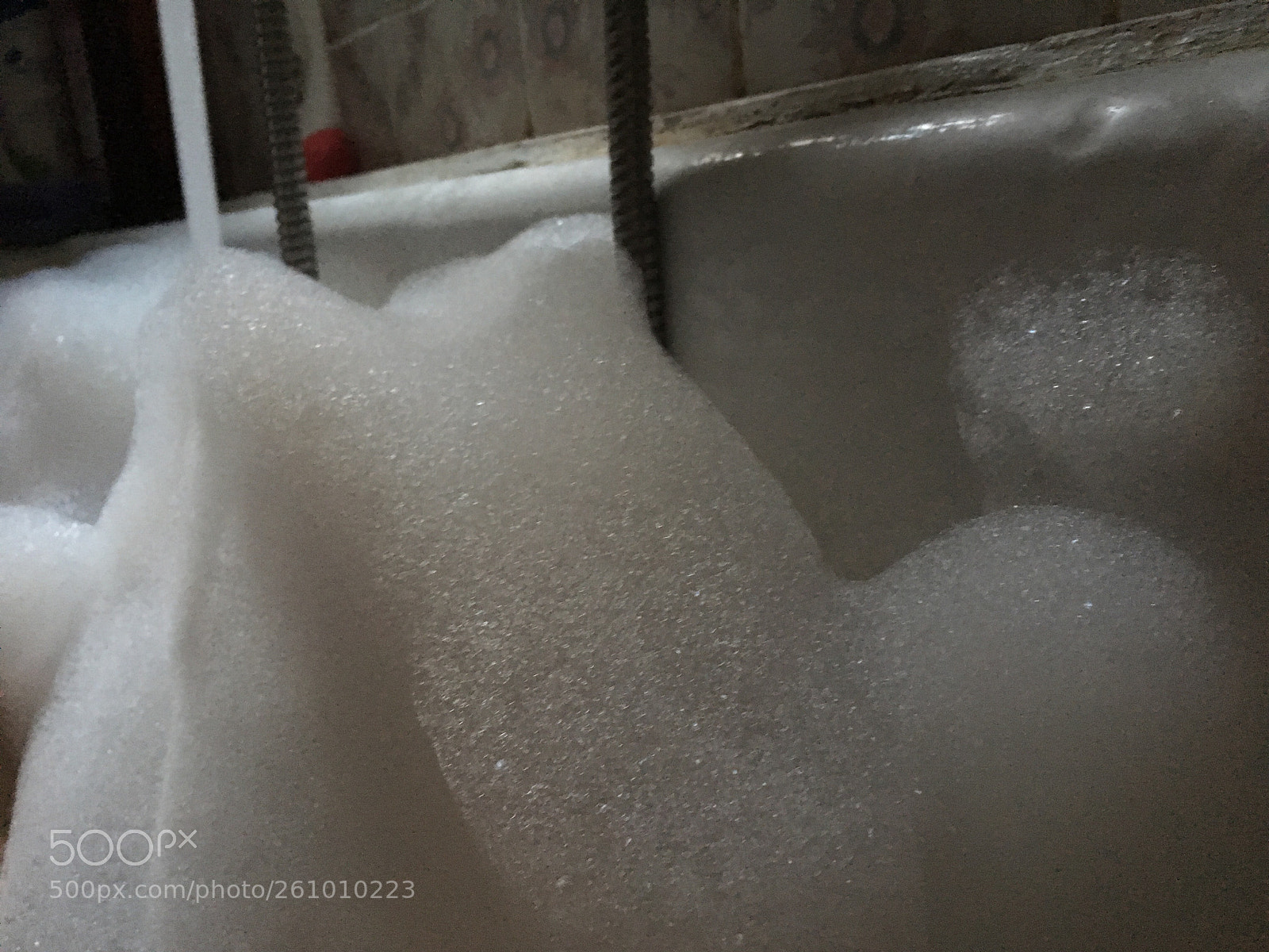 Apple iPhone SE sample photo. Untitled photography