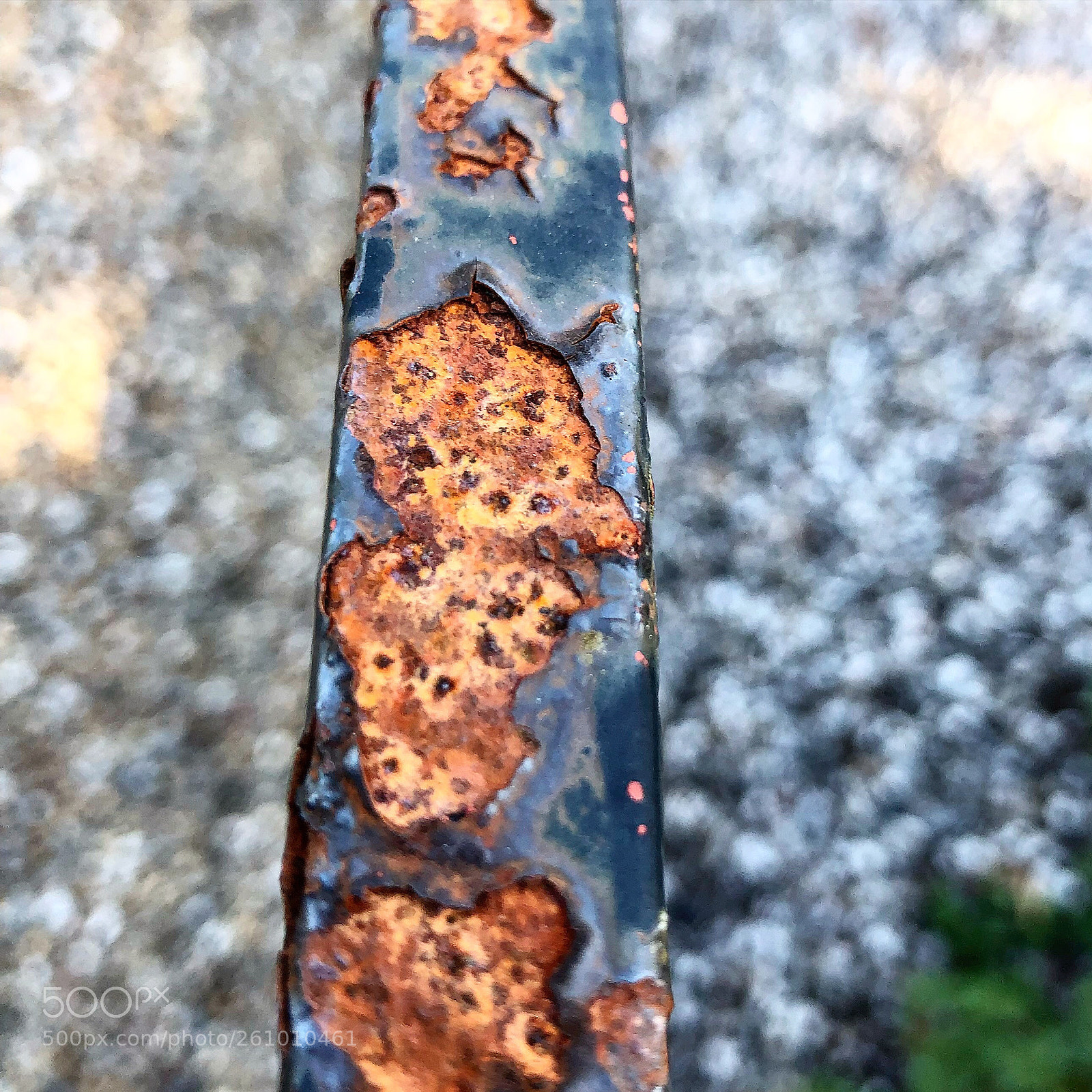 Apple iPhone 8 Plus sample photo. Old rusty fence photography