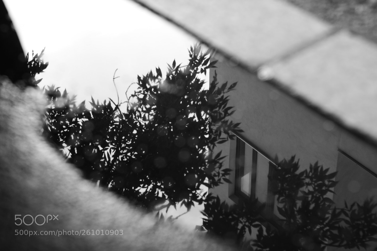Canon EOS 750D (EOS Rebel T6i / EOS Kiss X8i) sample photo. Building in a puddle photography