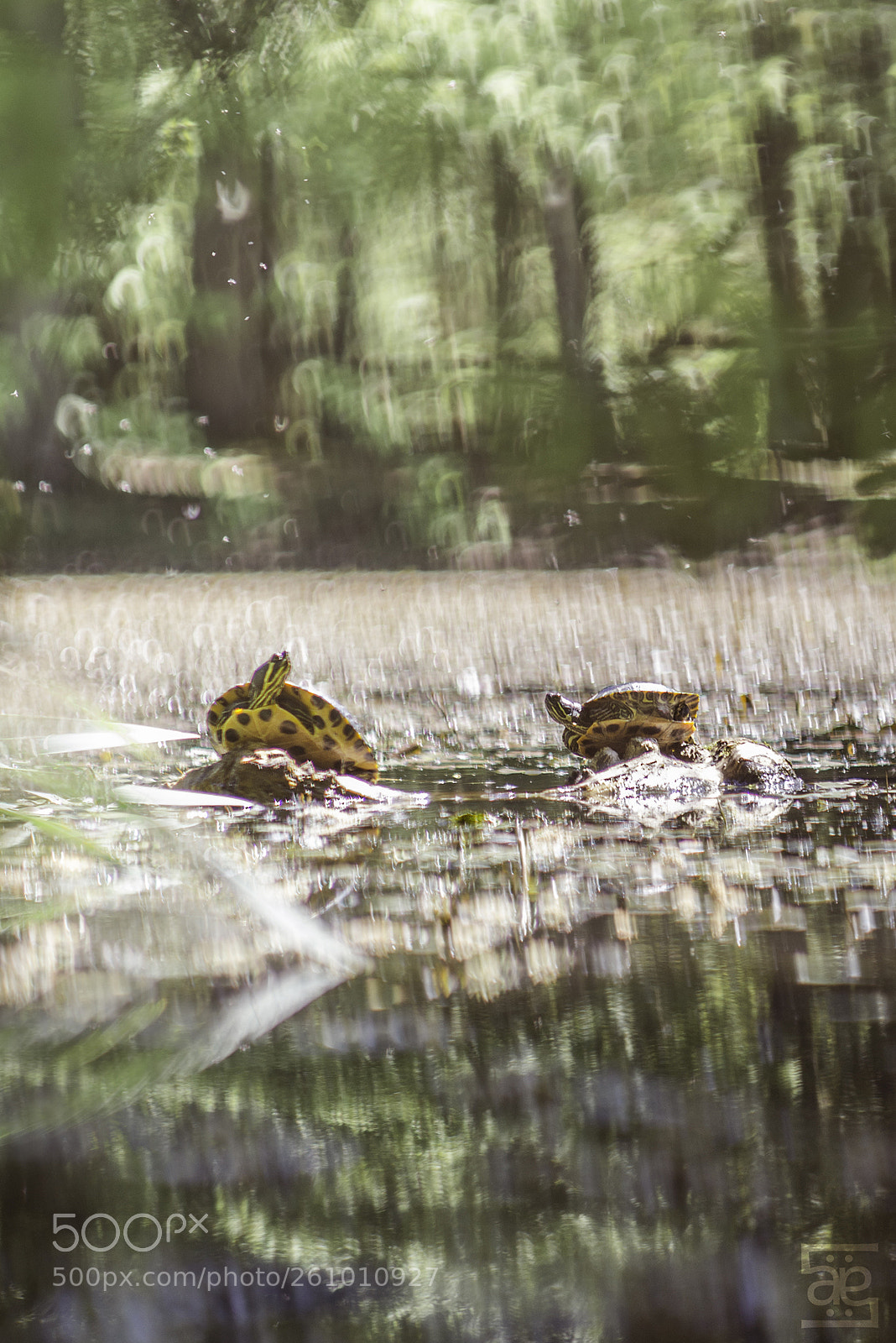 Nikon D610 sample photo. Saintes glace photography