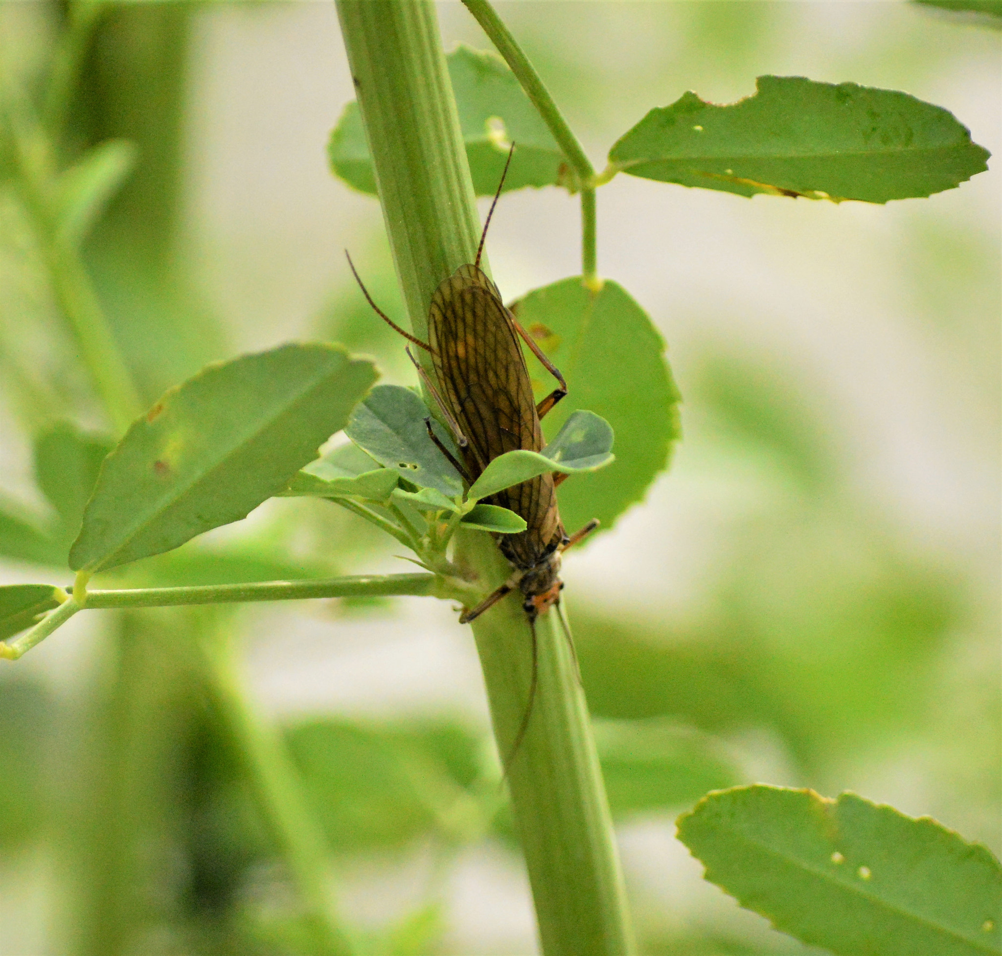 Nikon D3200 sample photo
