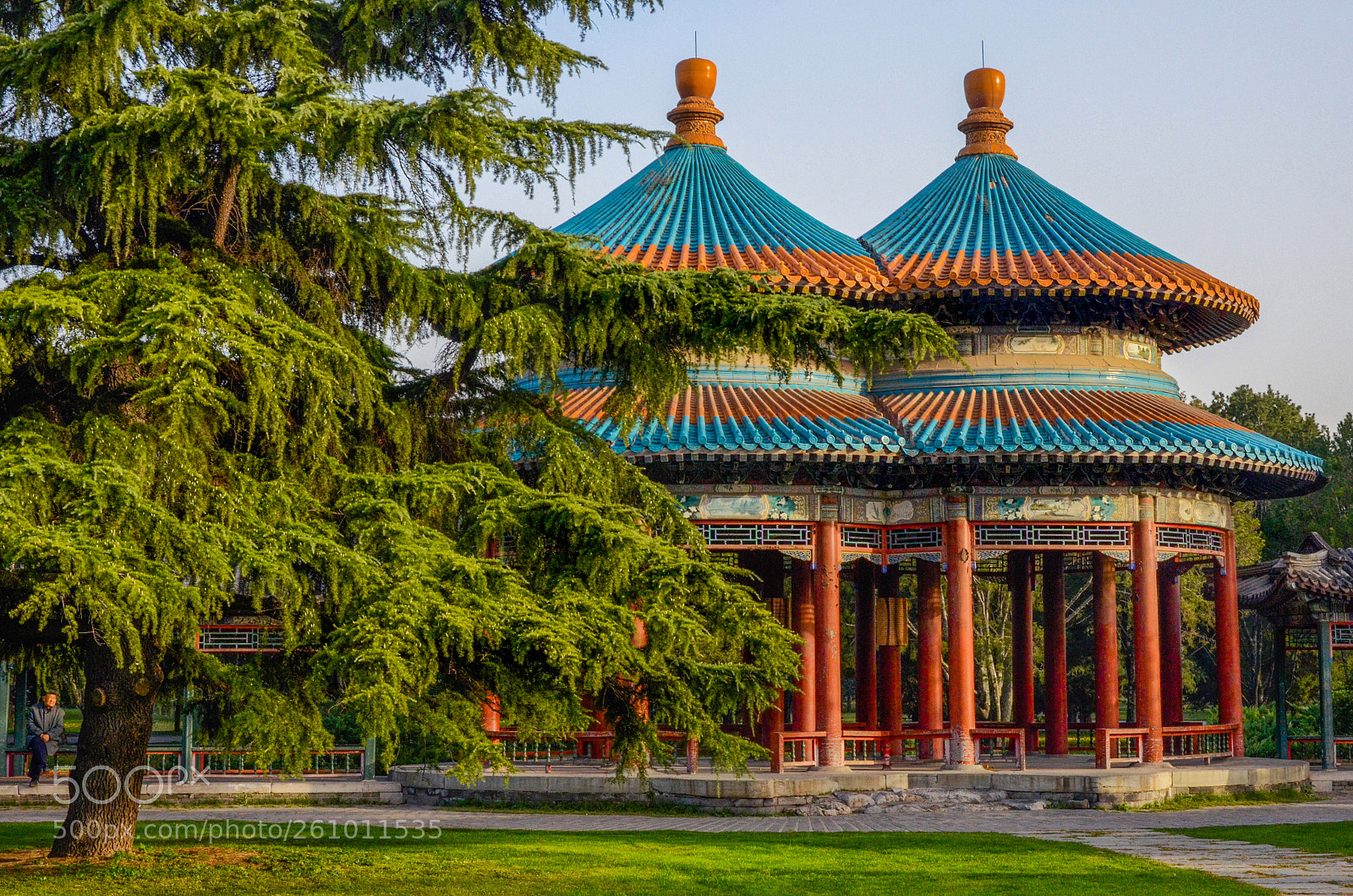 Nikon D7000 sample photo. Twin pagoda's photography