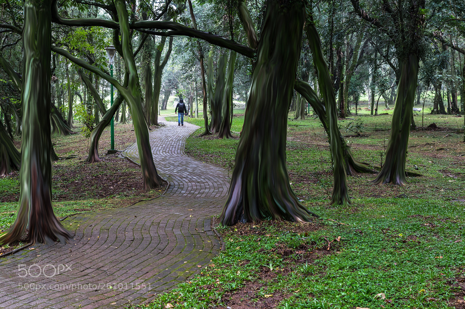 Canon EOS 6D sample photo. Walking in the park photography