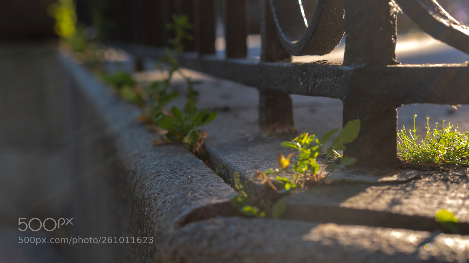 Fujifilm X-T20 sample photo. Details photography
