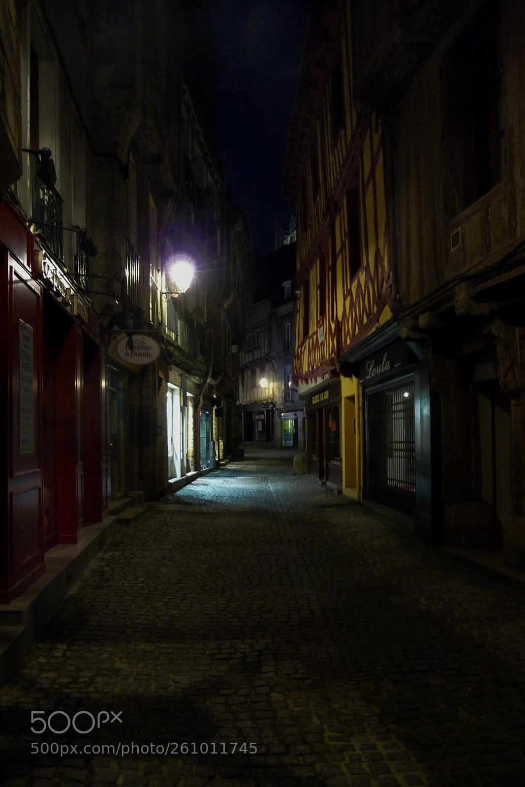 Panasonic Lumix DMC-TZ5 sample photo. Vannes photography
