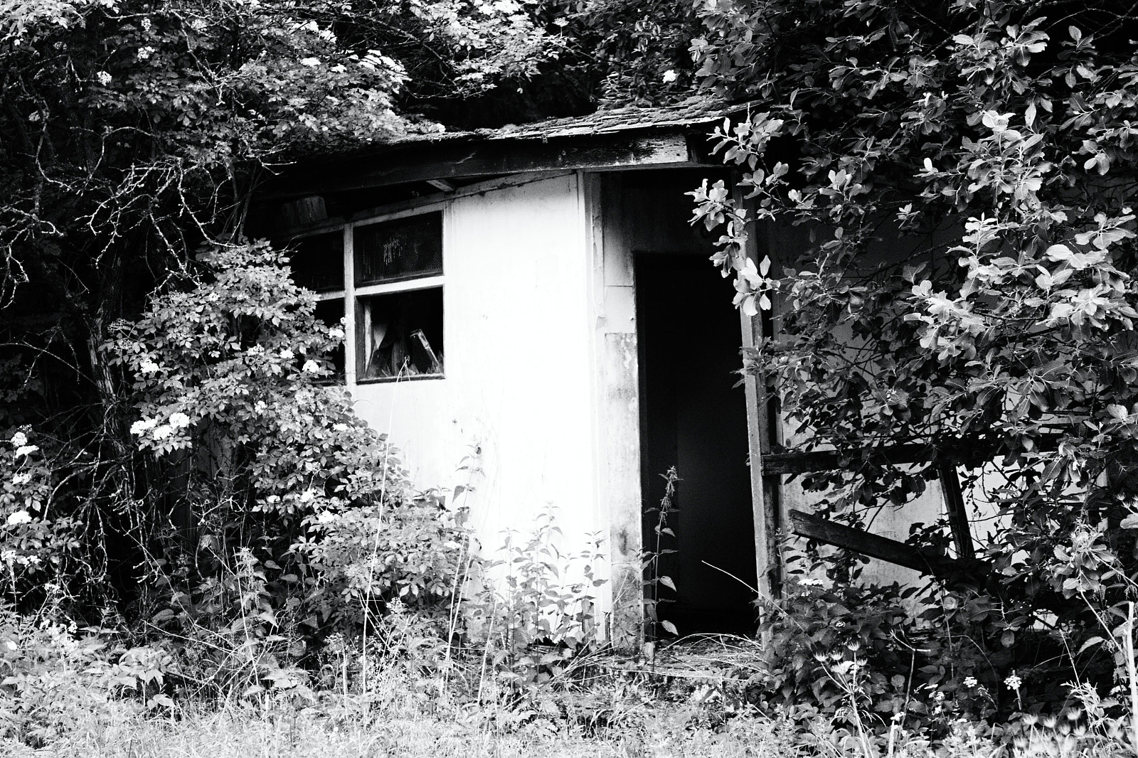 Canon EOS 77D (EOS 9000D / EOS 770D) sample photo. Old house photography