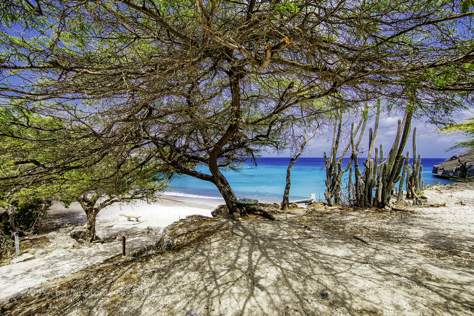 Canon EOS 5D Mark IV sample photo. My paradise photography