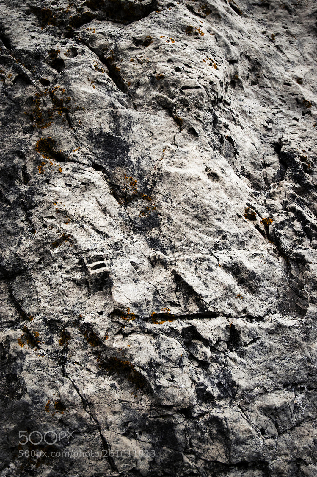 Nikon D5500 sample photo. Abstract surface of gray photography