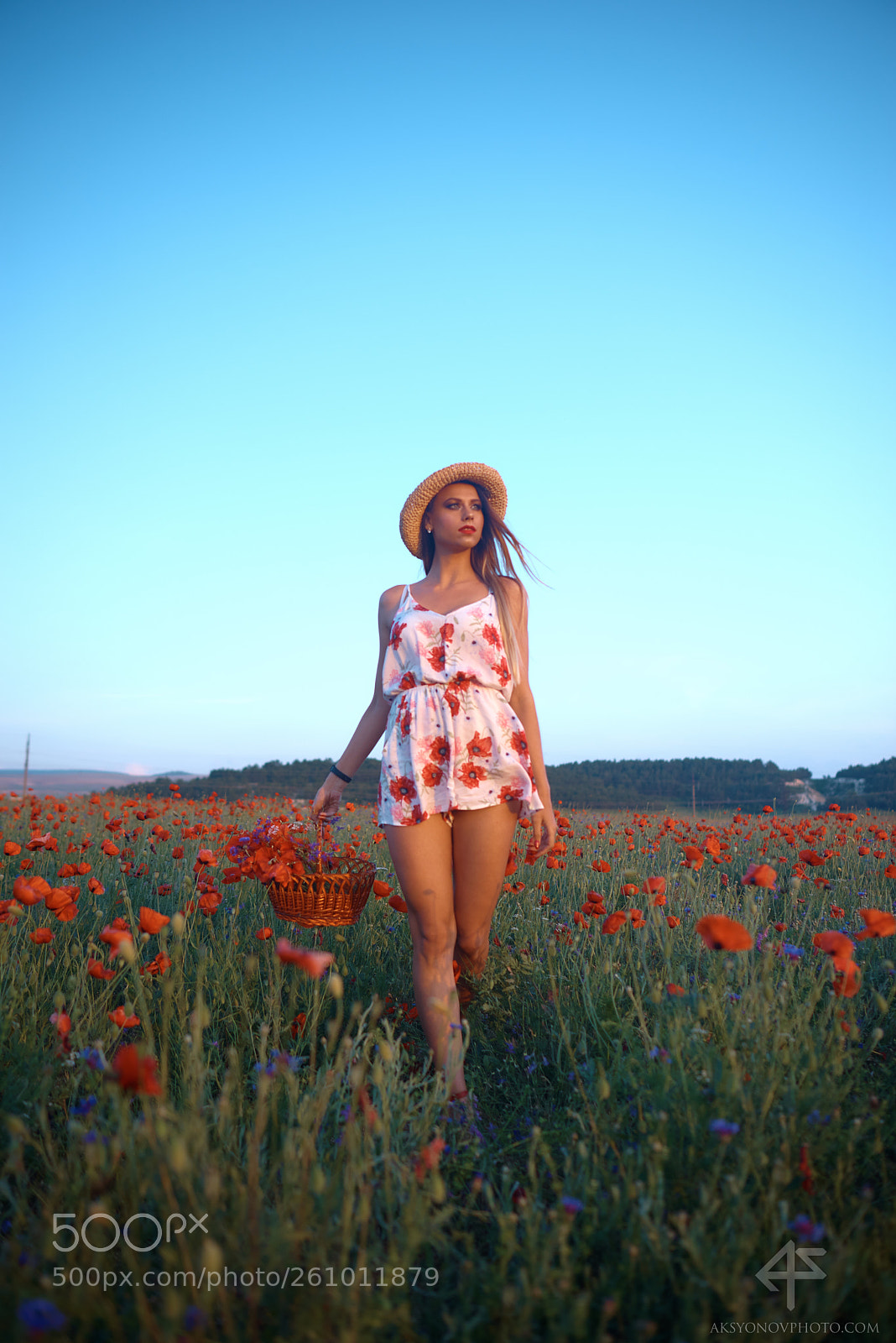 Nikon D610 sample photo. Bor photography