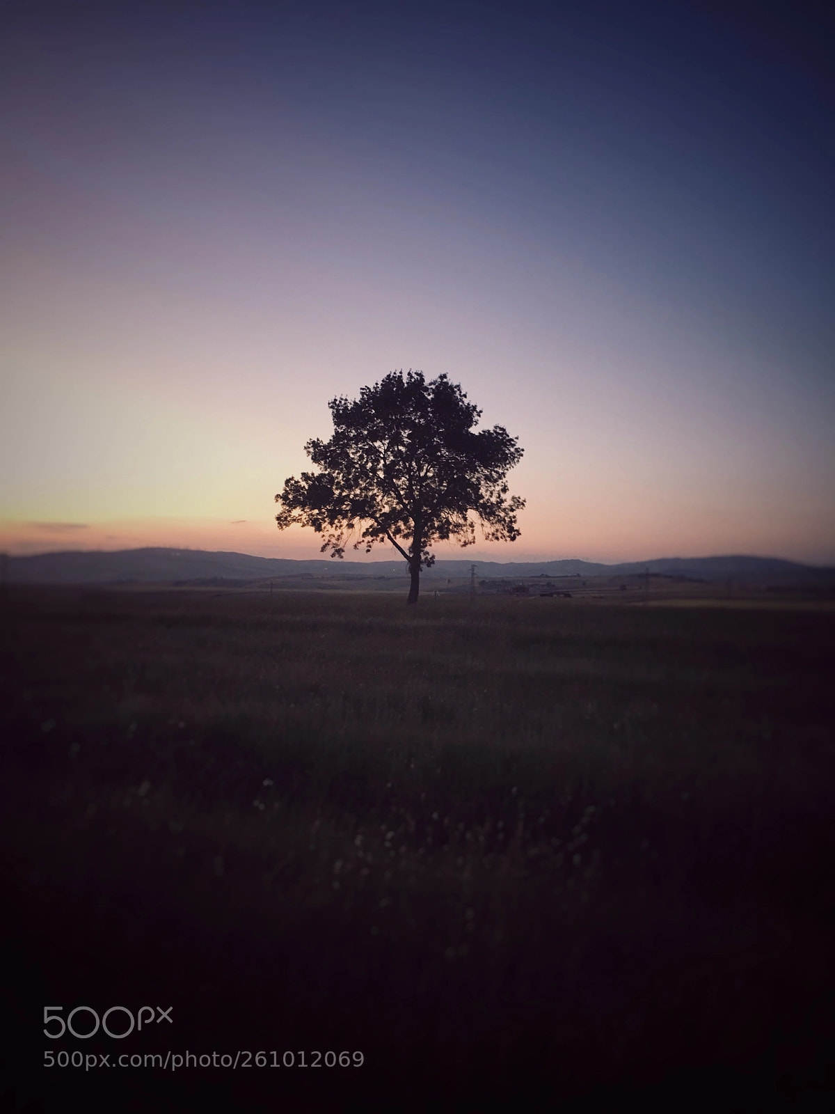 Apple iPhone 6s sample photo. Untitled photography