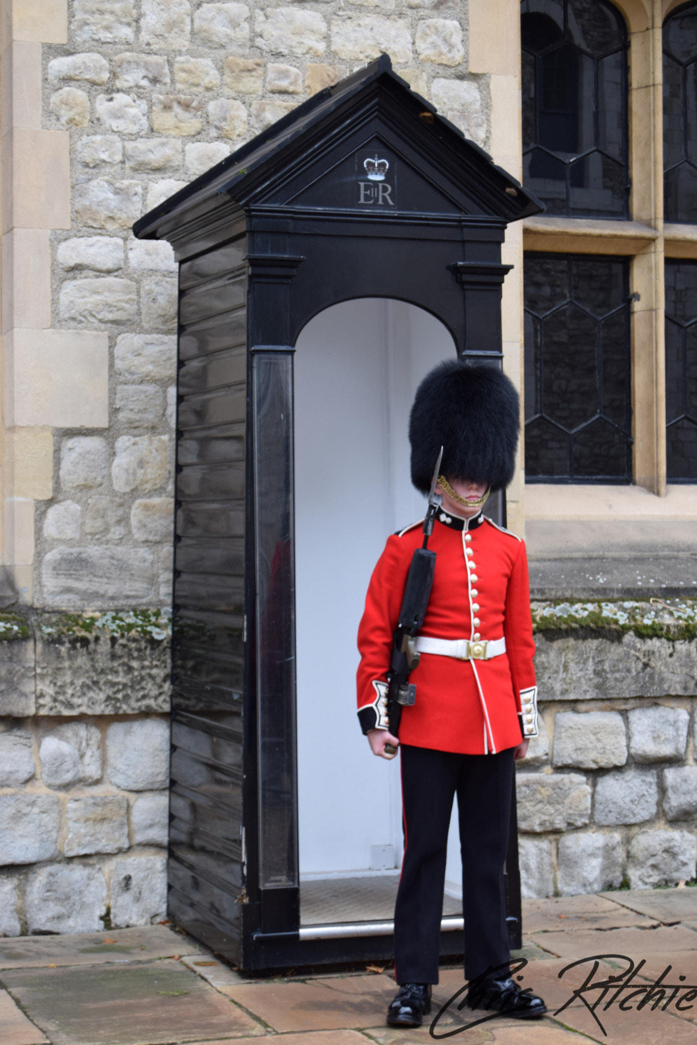 Nikon D3300 sample photo. Standing guard photography