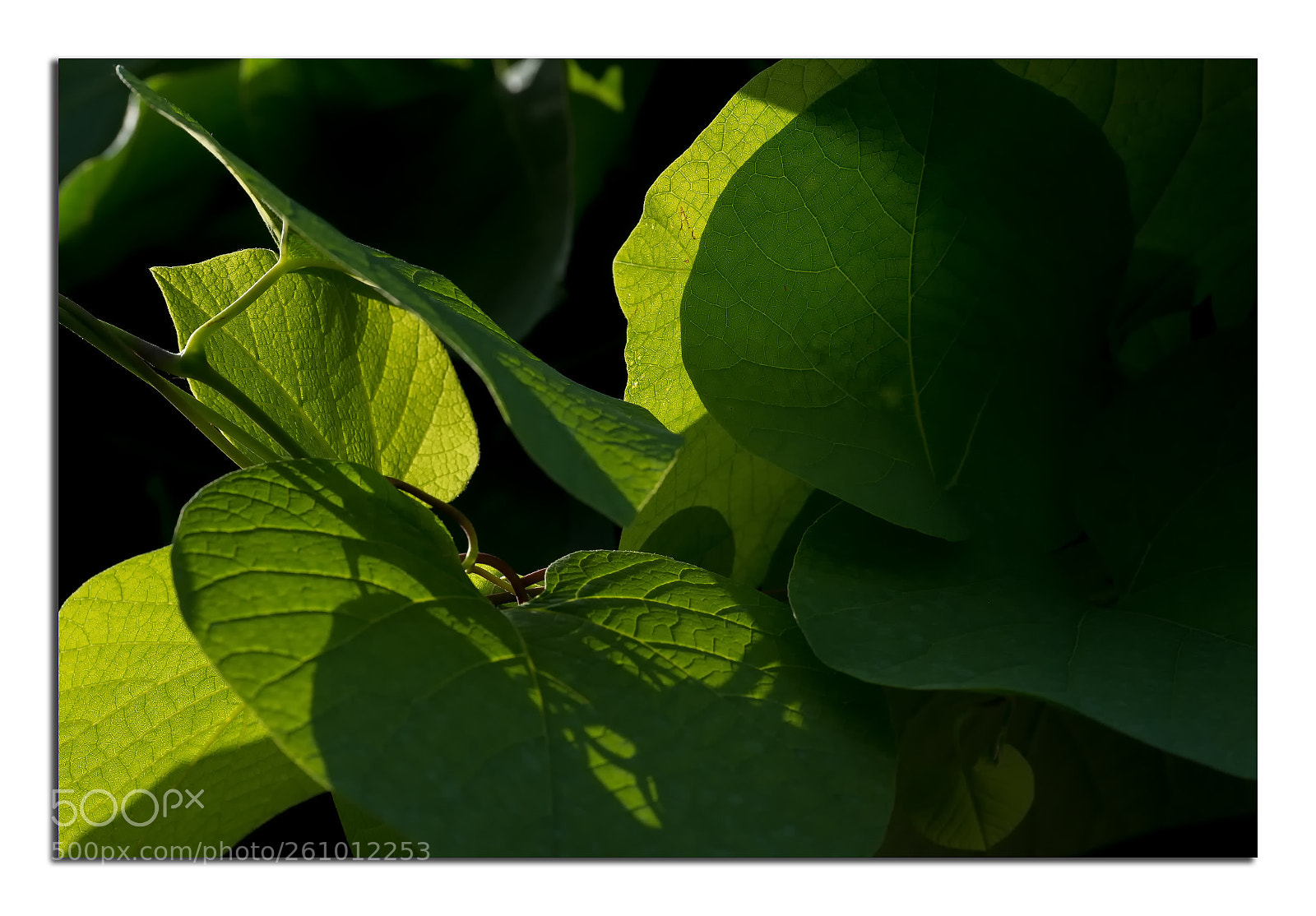 Nikon D4S sample photo. Licht & schatten photography