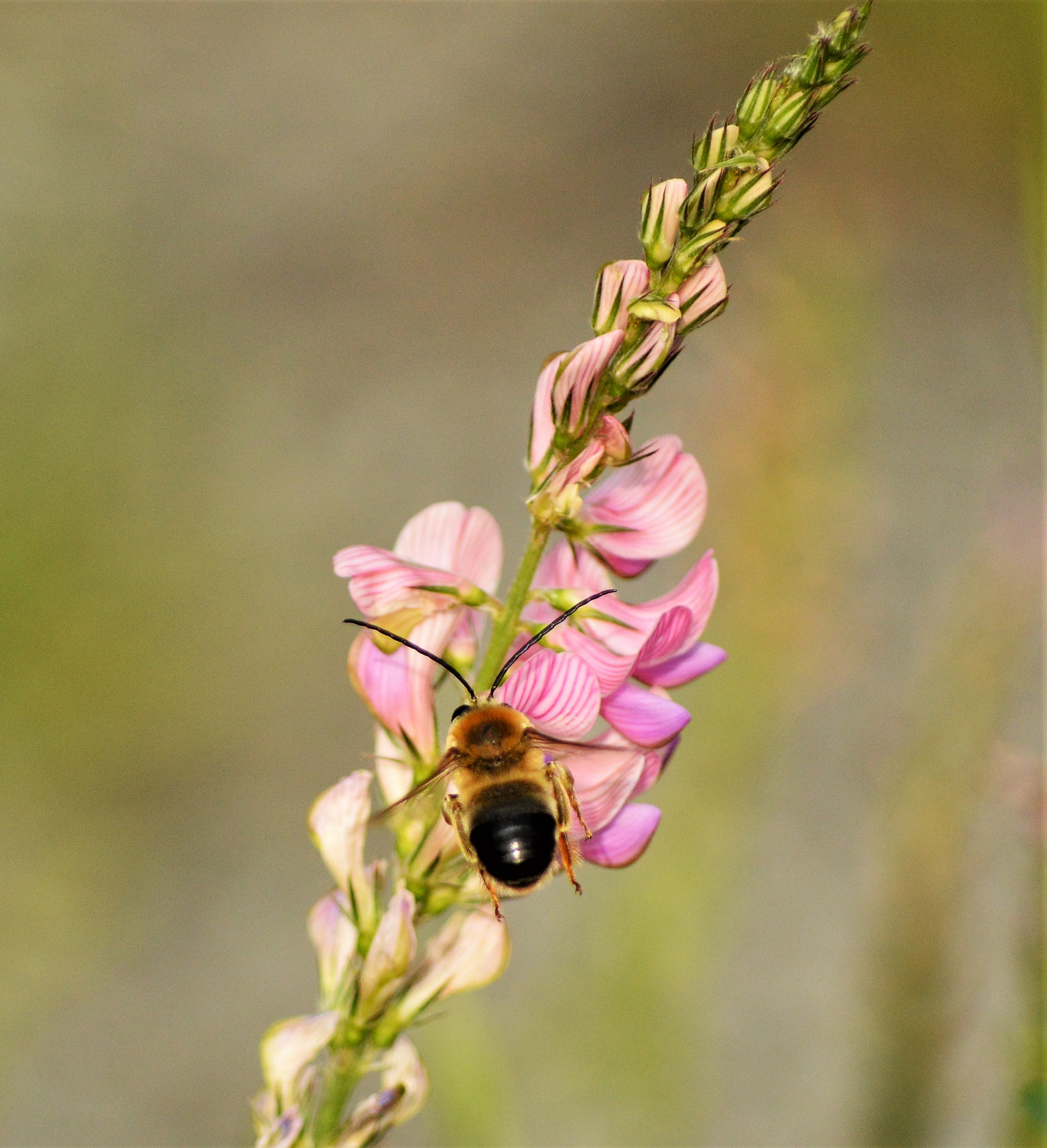 Nikon D3200 sample photo